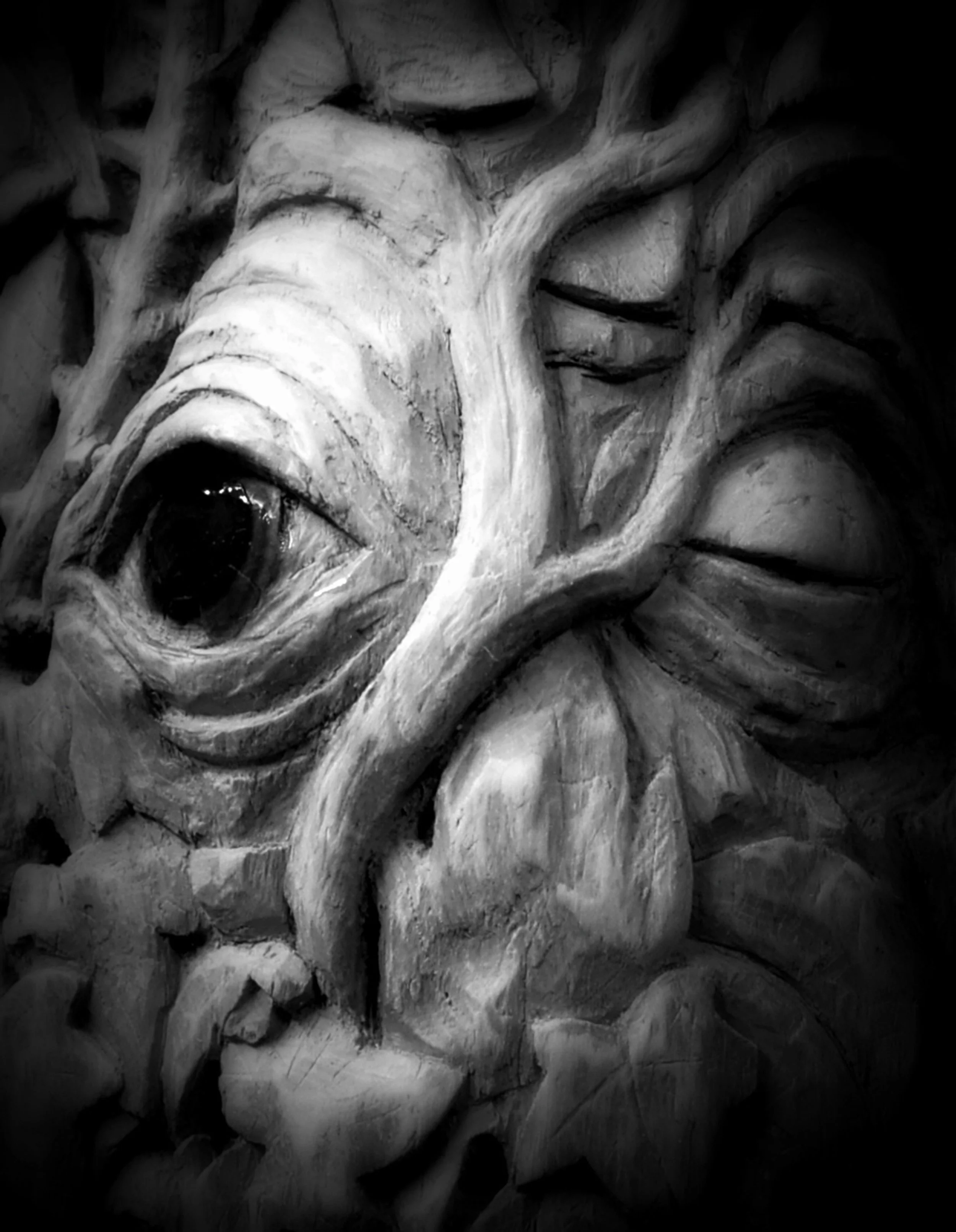 paul-nixon-lesidhe-guardians-of-the-forest-wood-carved-cedar-and-photographed-in-black-and-white-2016.jpg