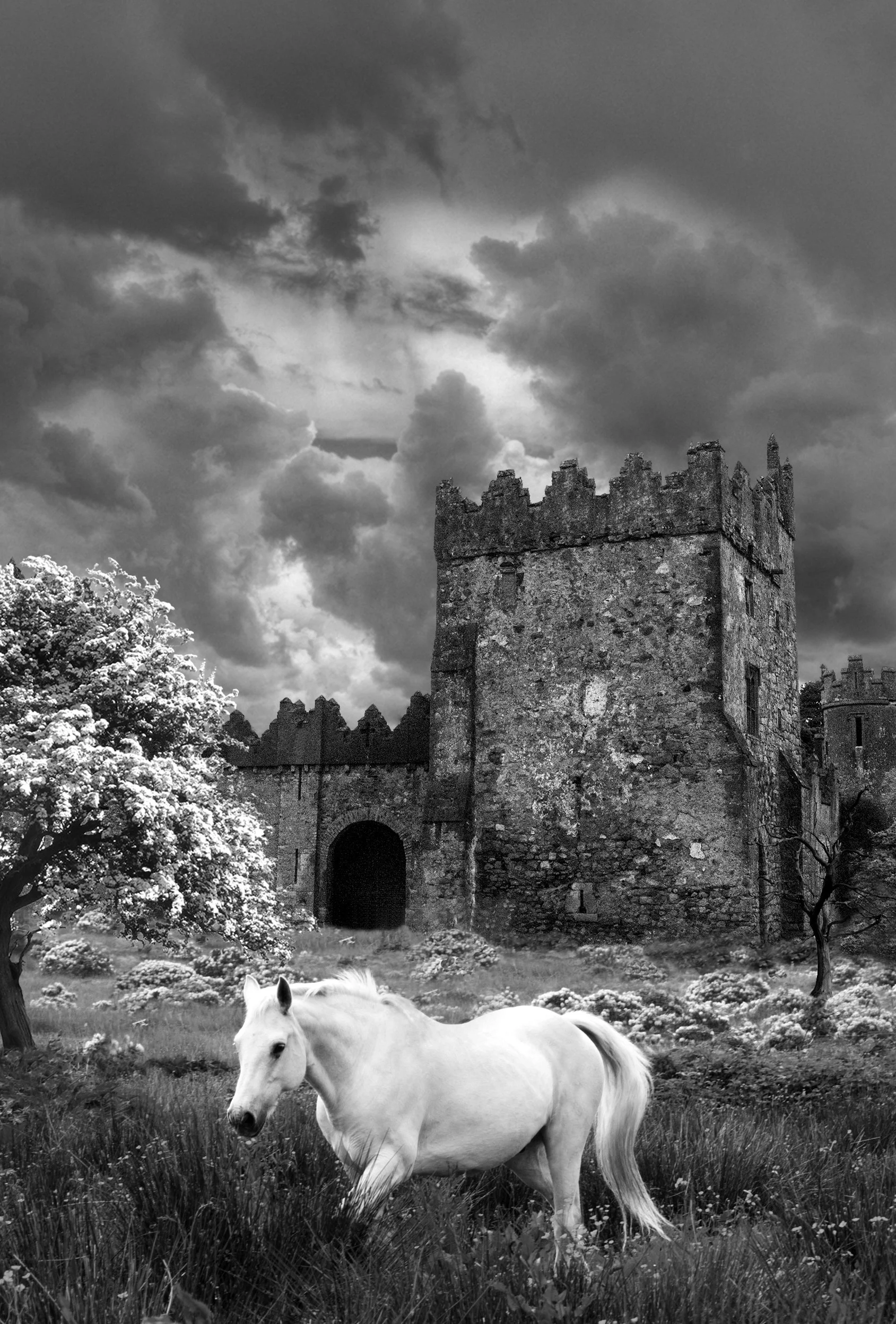 paul-nixon-return-to-tír-n-nÓg.jpg