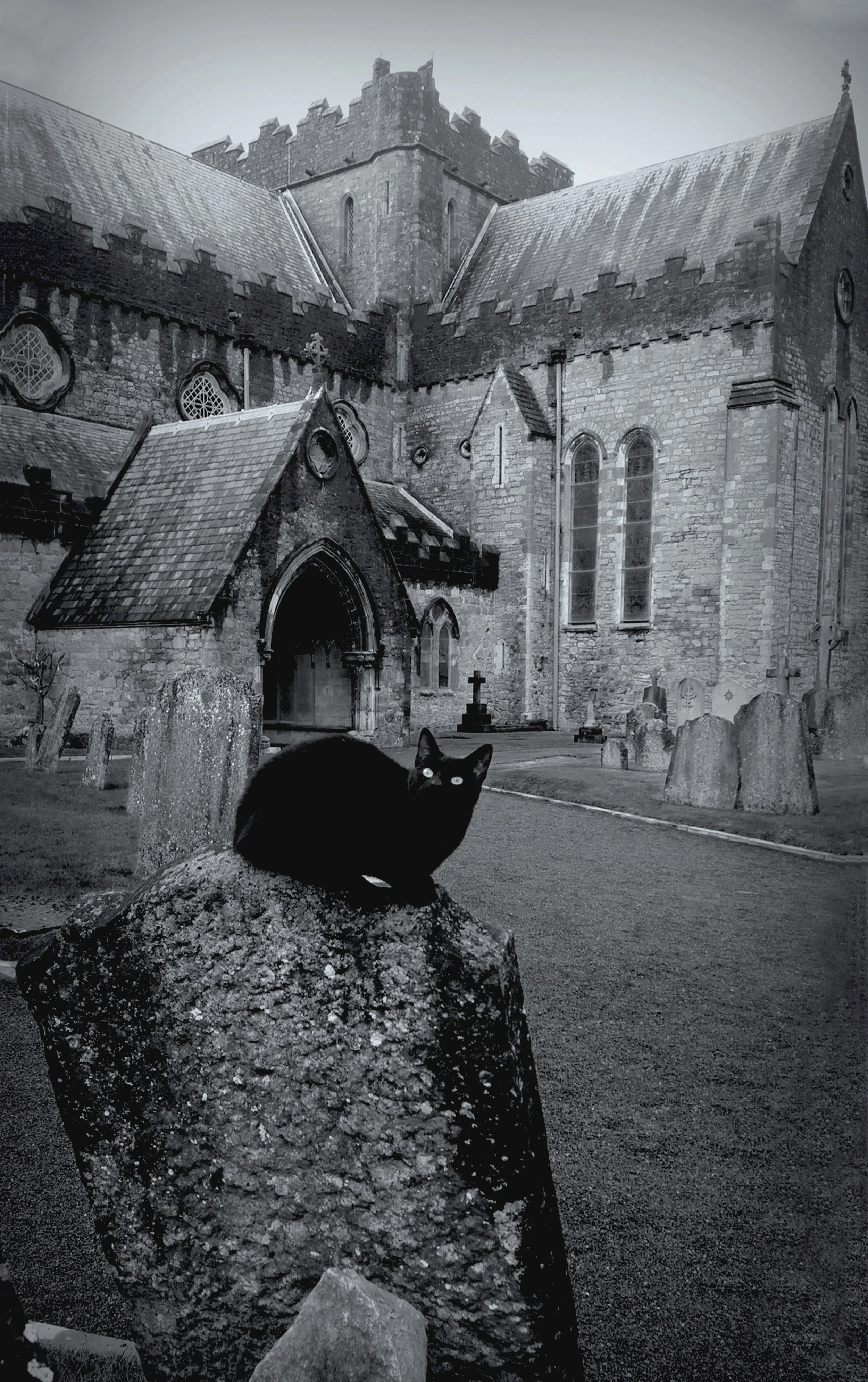 paul-nixon-the-witches-familiar-st-canice's-cathedral-co-kilkenny-ireland.jpg