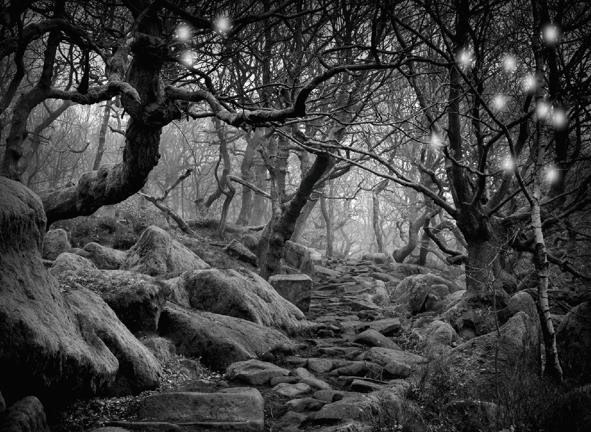 paul-nixon-within-the-realm-of-fairy.jpg