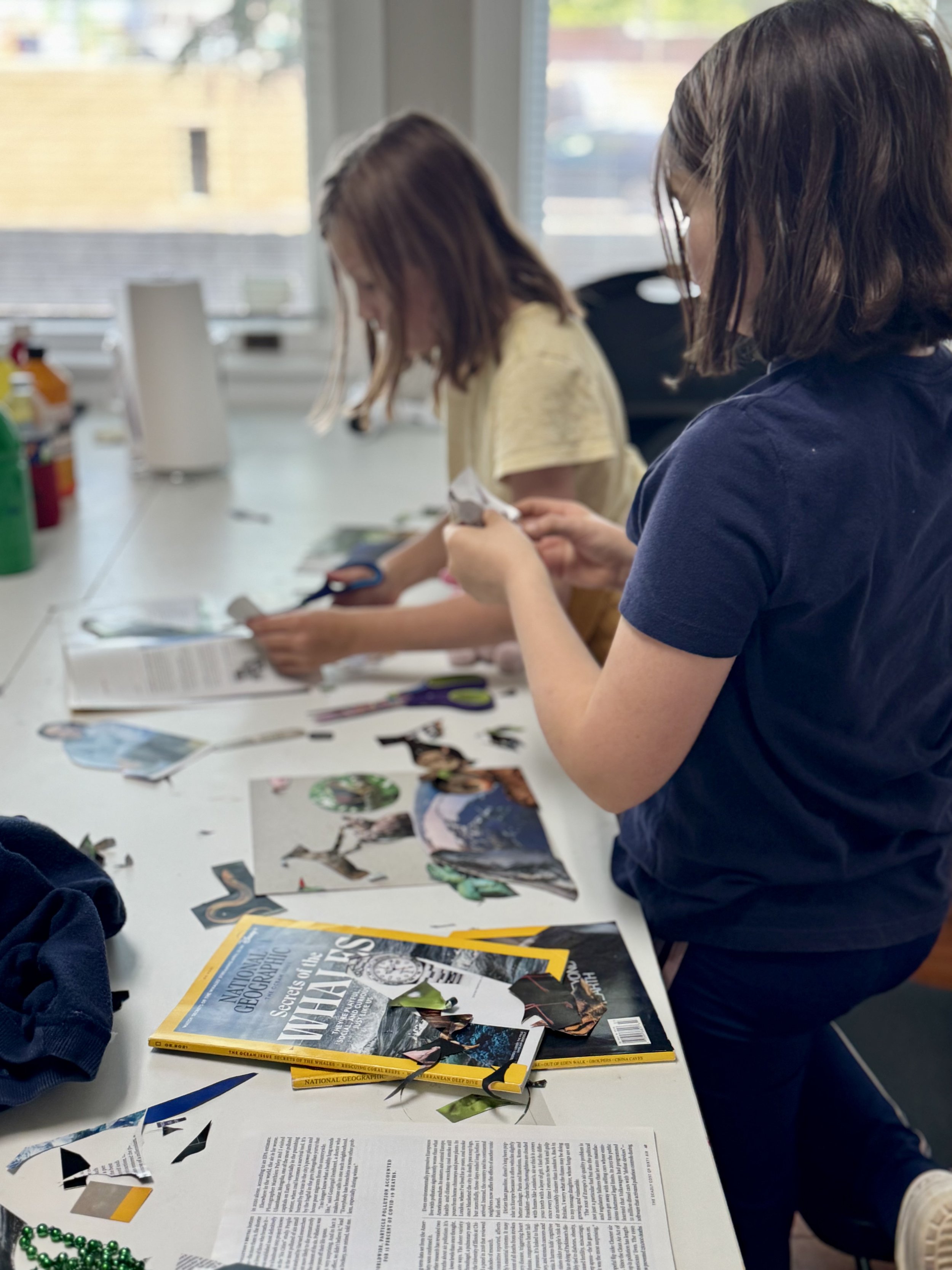 Homeschool Art 101, Ages 8-12