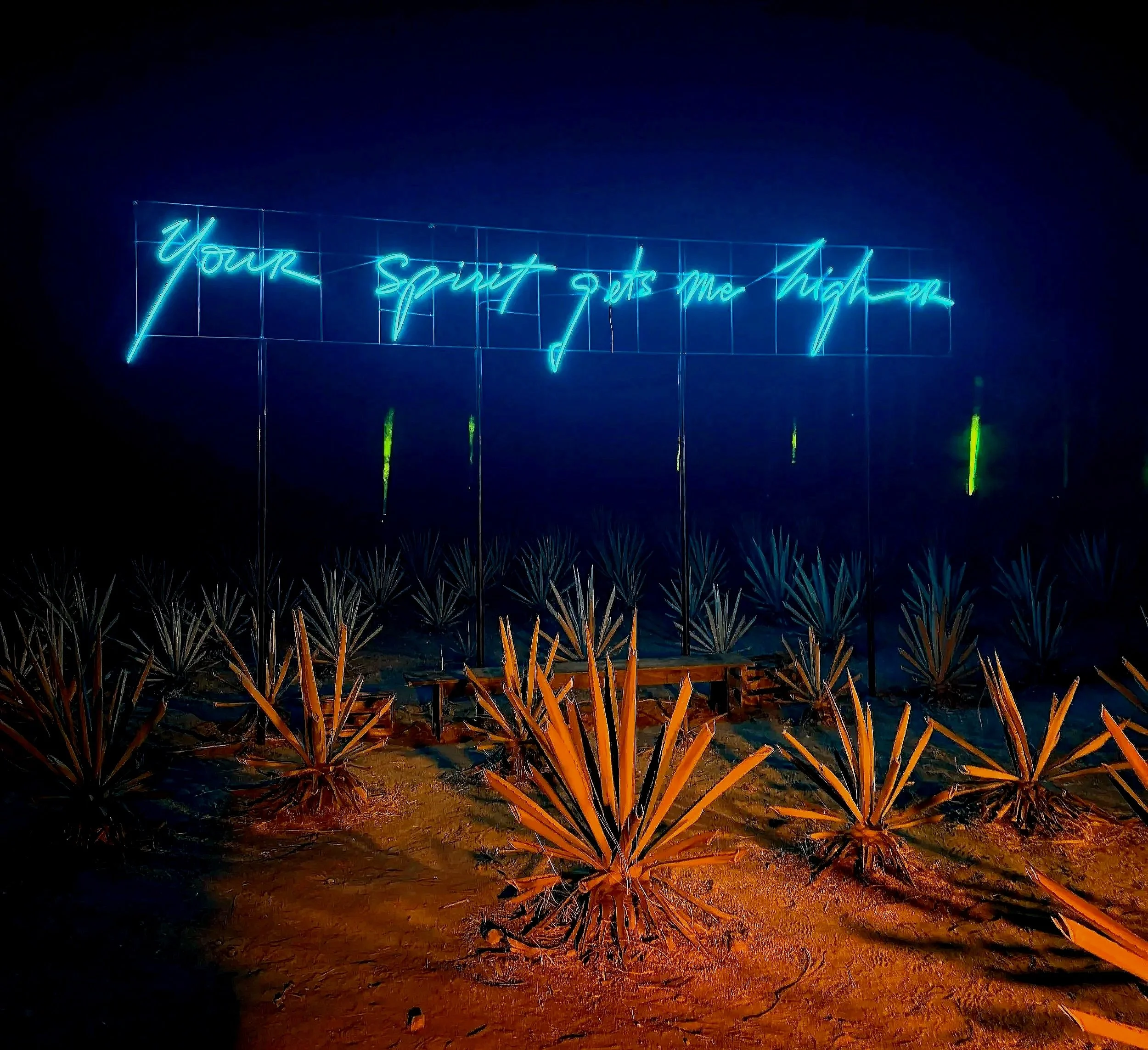 Neon by light artist Olivia Steele