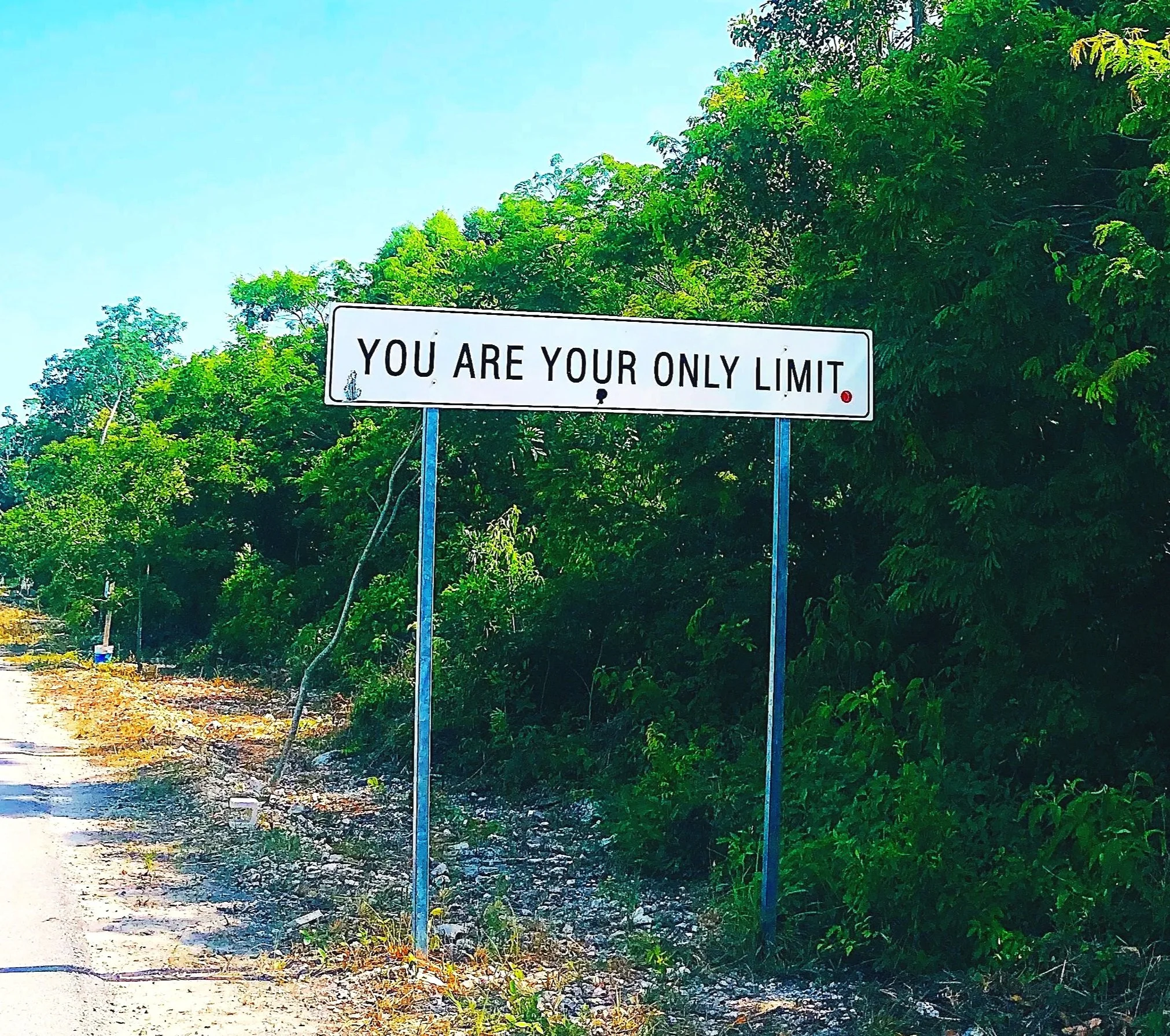 PDA by Artist Olivia Steele 