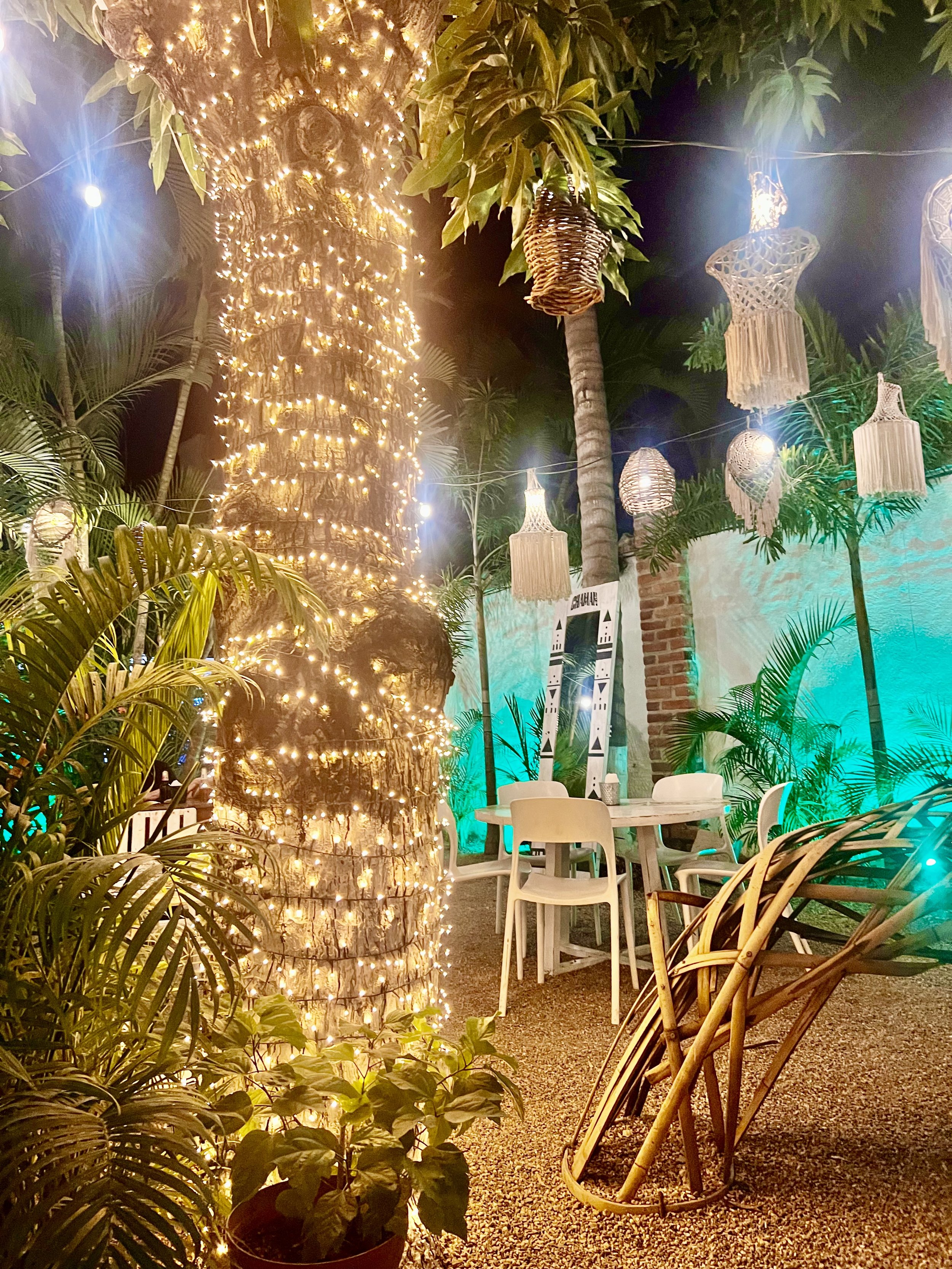 Sayulita & Puerto Vallarta Mexico