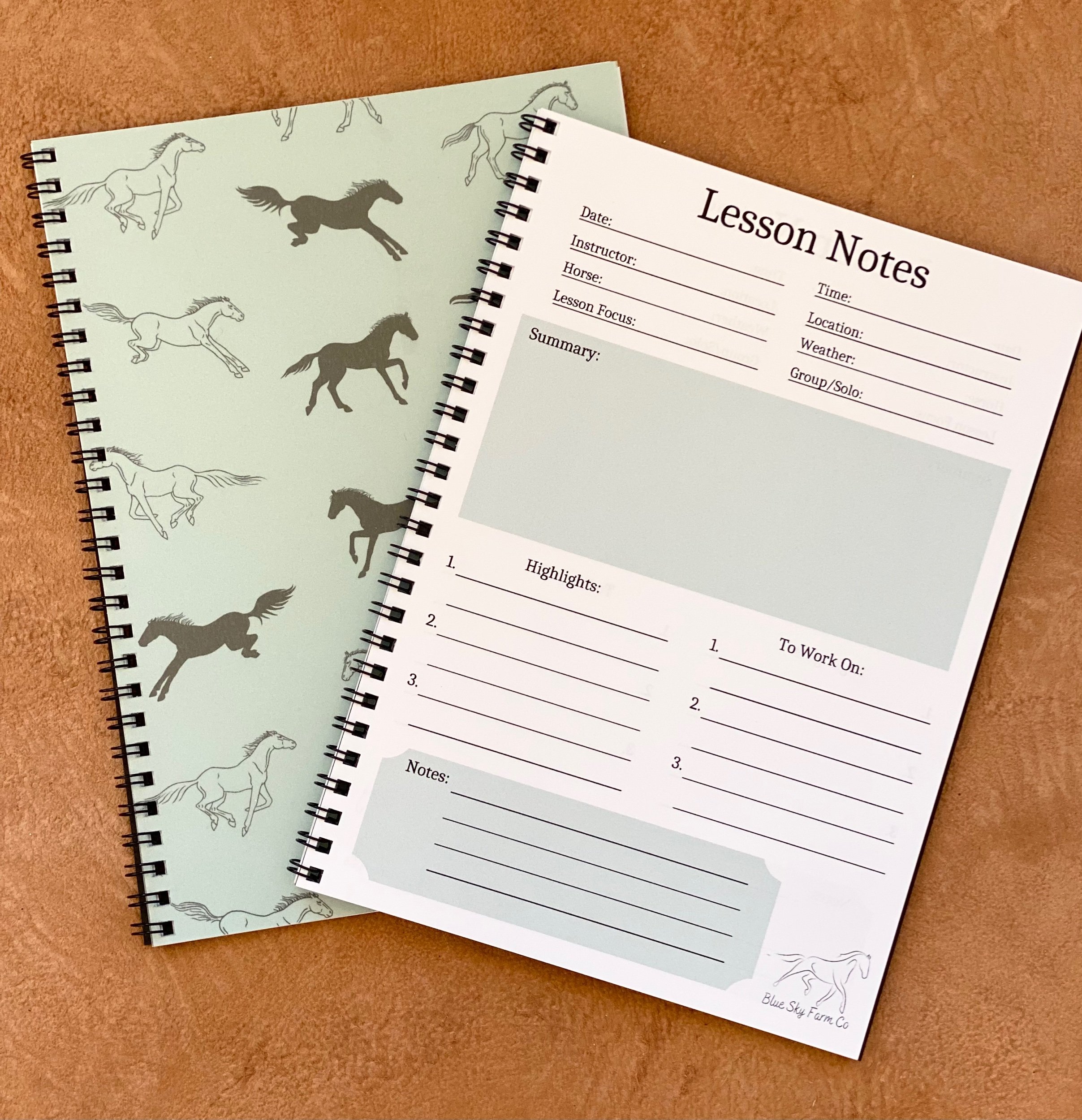 Mustang Meadows | Lesson Journal