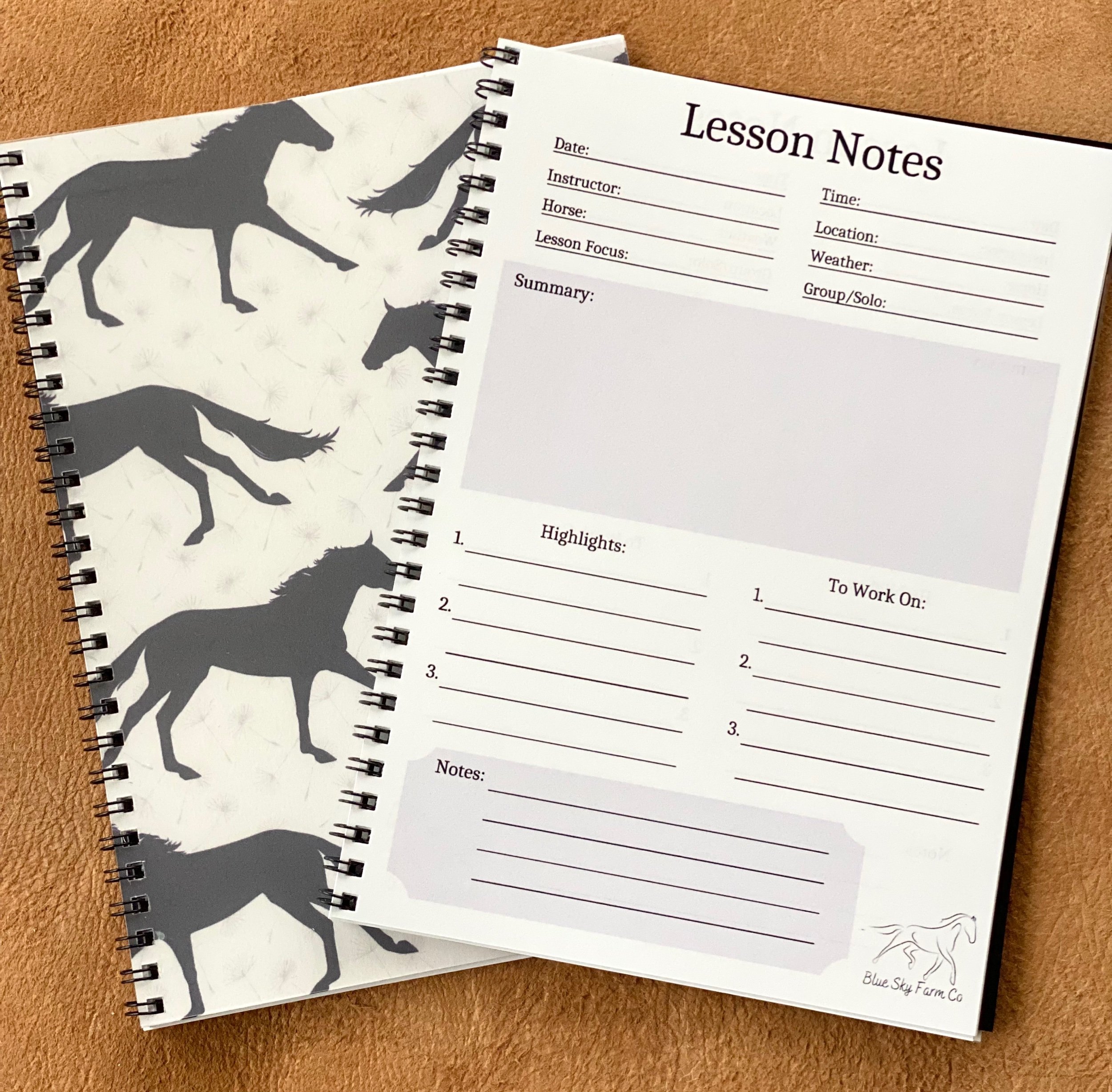 DayDreams | Lesson Journal
