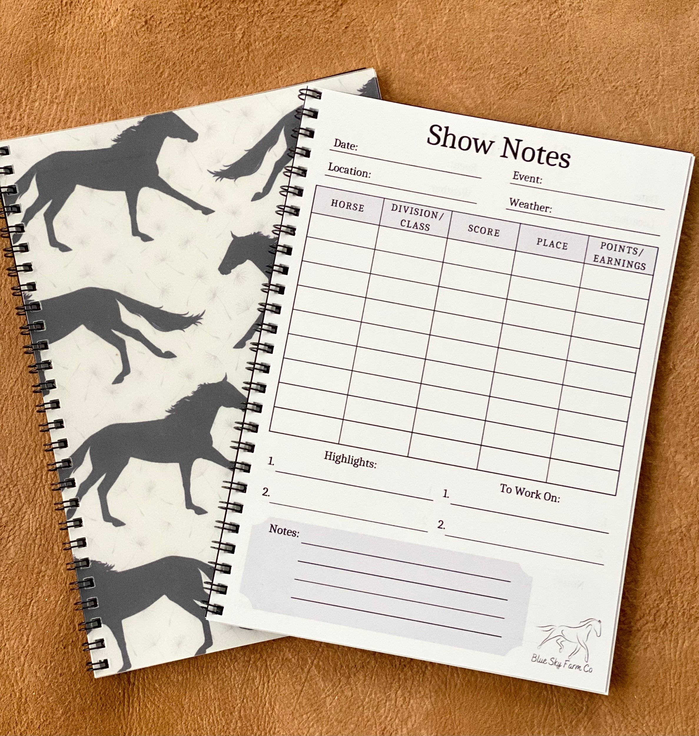 DayDreams | Show Journal