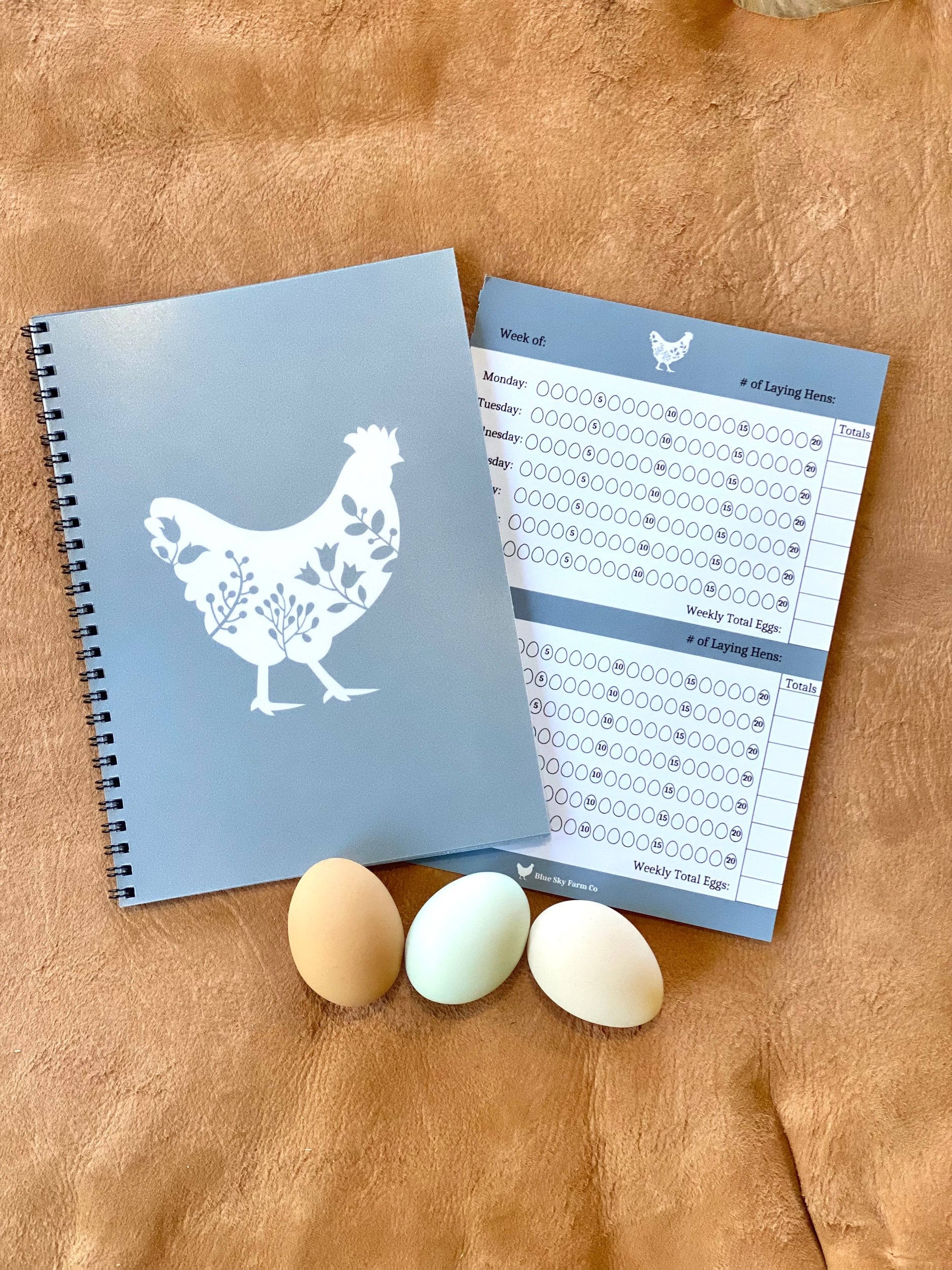 Blue | Chicken Journal