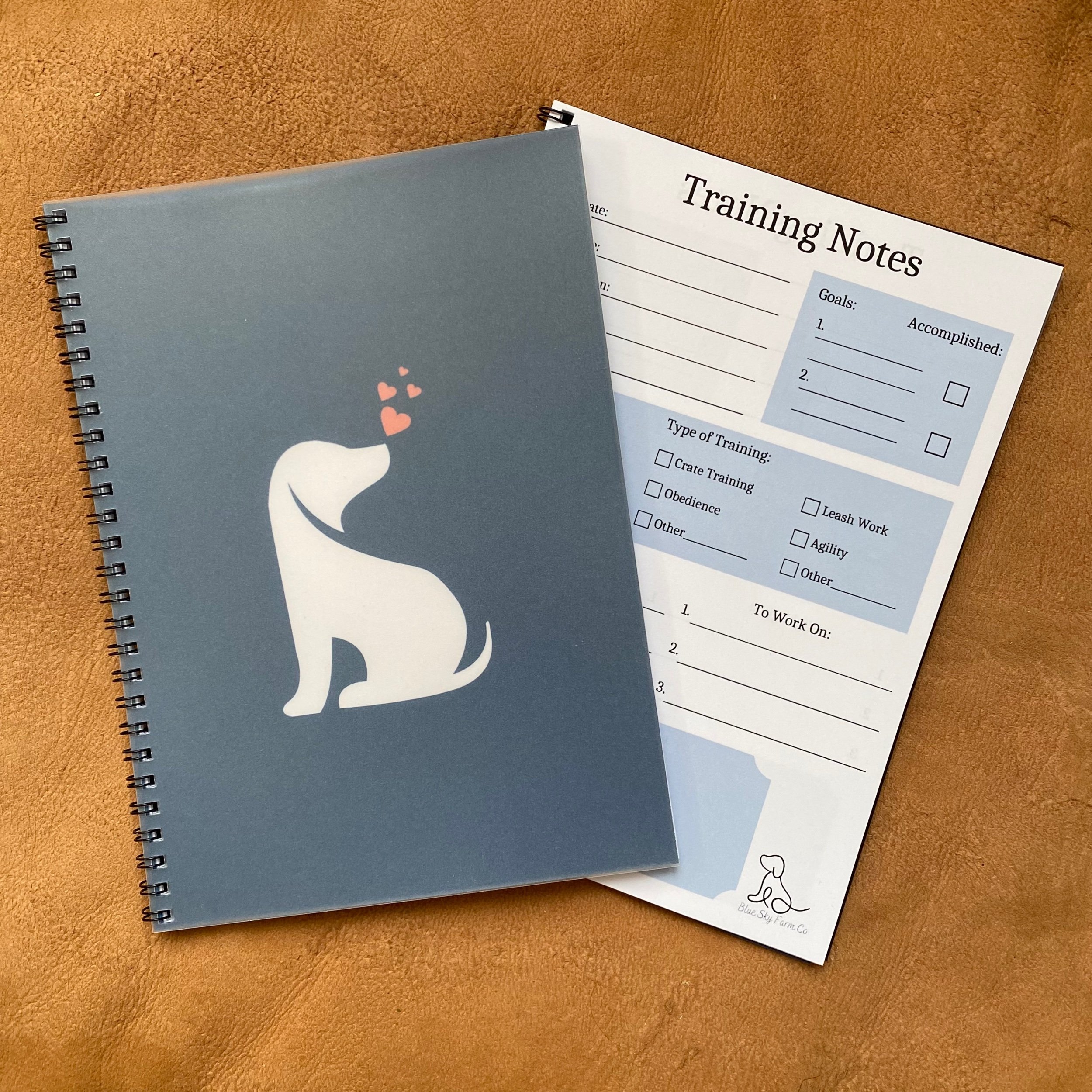 Blue | Dog Training