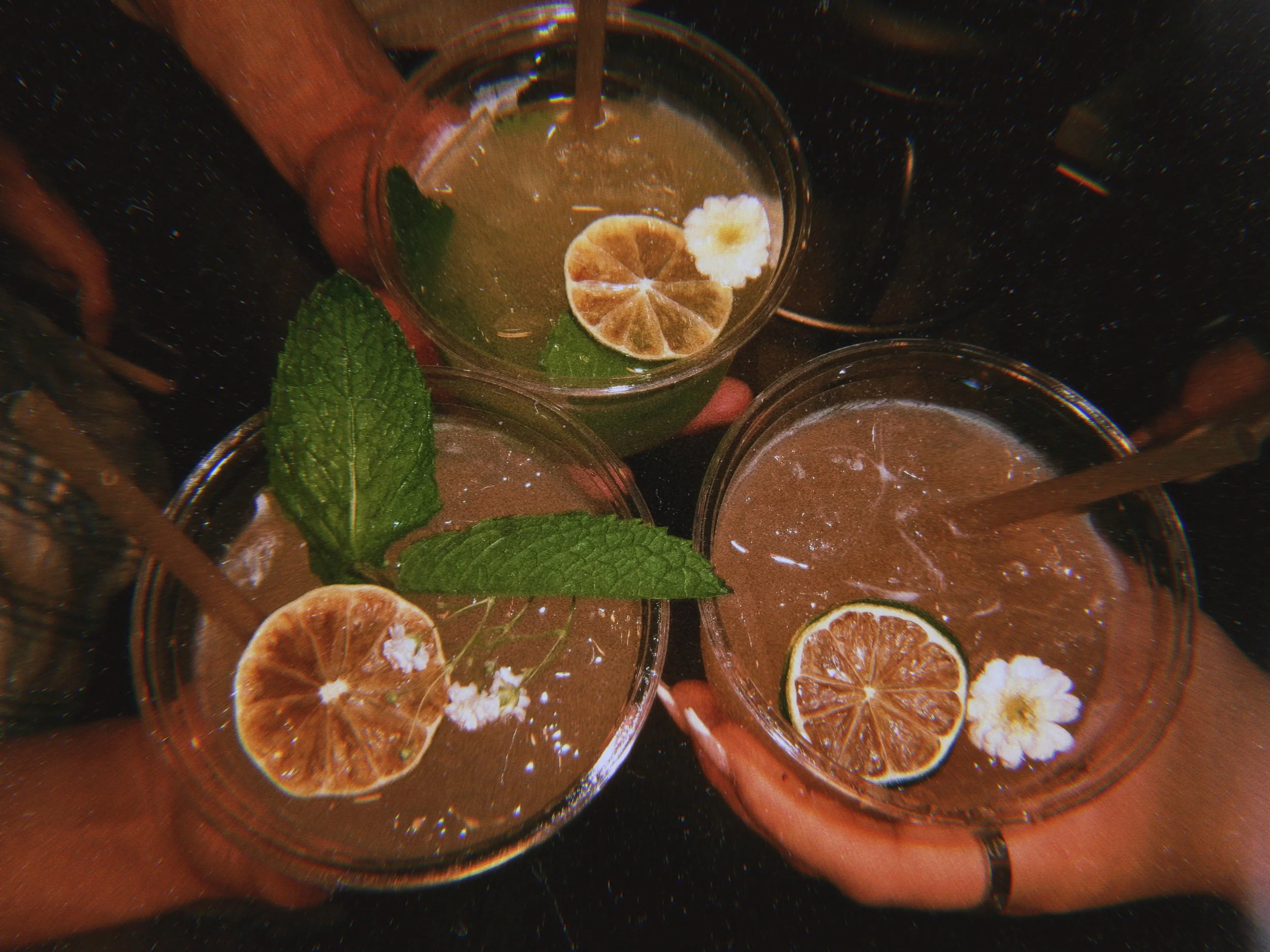 Three hands holding glasses of iced drinks garnished with lemon slices, mint leaves, and white flowers, against a dark background.