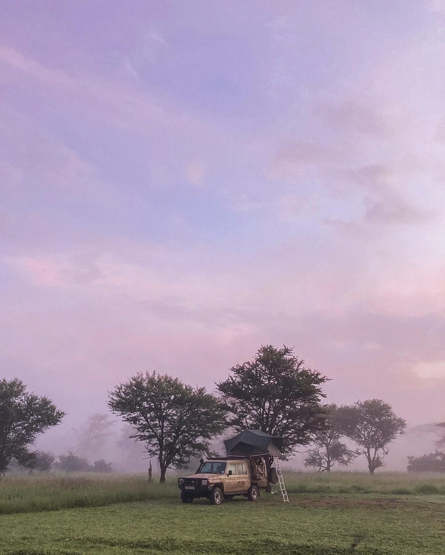 74B4FFCE-35B9-4A76-87C9-76DF74CFACD4 3.JPG