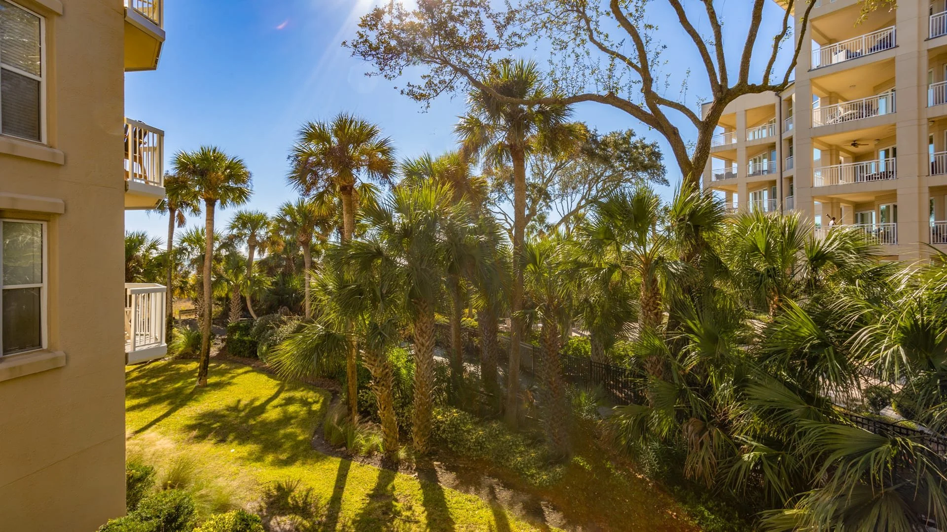 Palm trees and residential buildings with balconies under a clear blue sky.