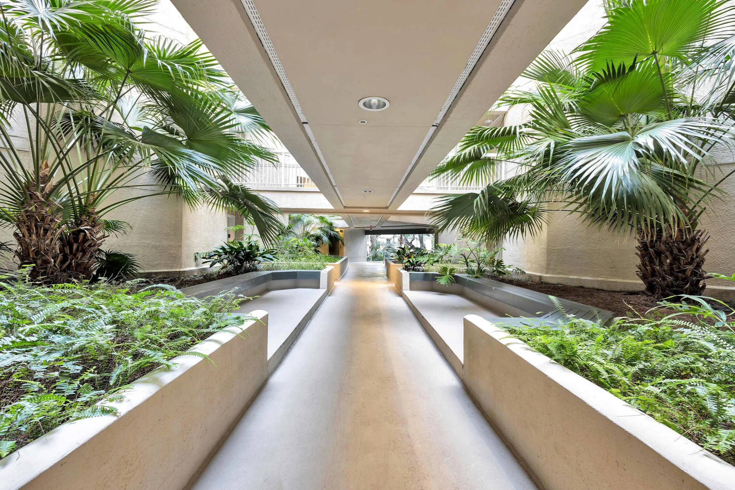 Indoor corridor with plants and palm trees along the sides, featuring a concrete floor and ceiling with lighting.