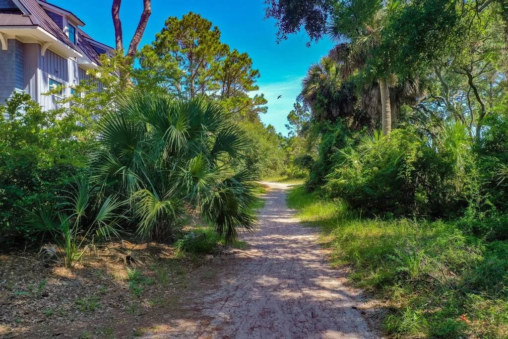 Sandy path through lush, tropical greenery with palm trees, leading into a forested area under a clear blue sky. A house is partially visible on the left.