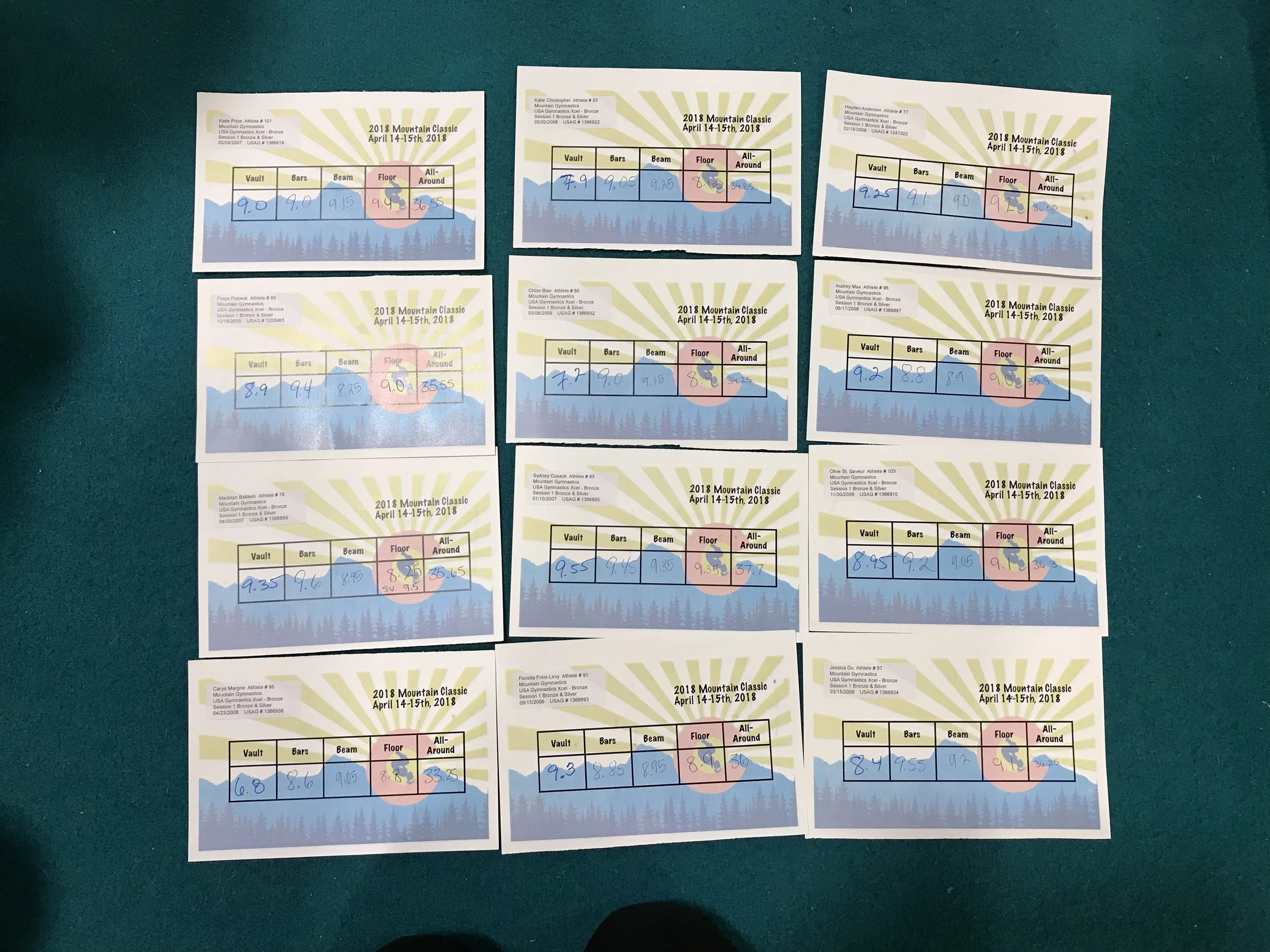 portfolio2_scorecard.jpg