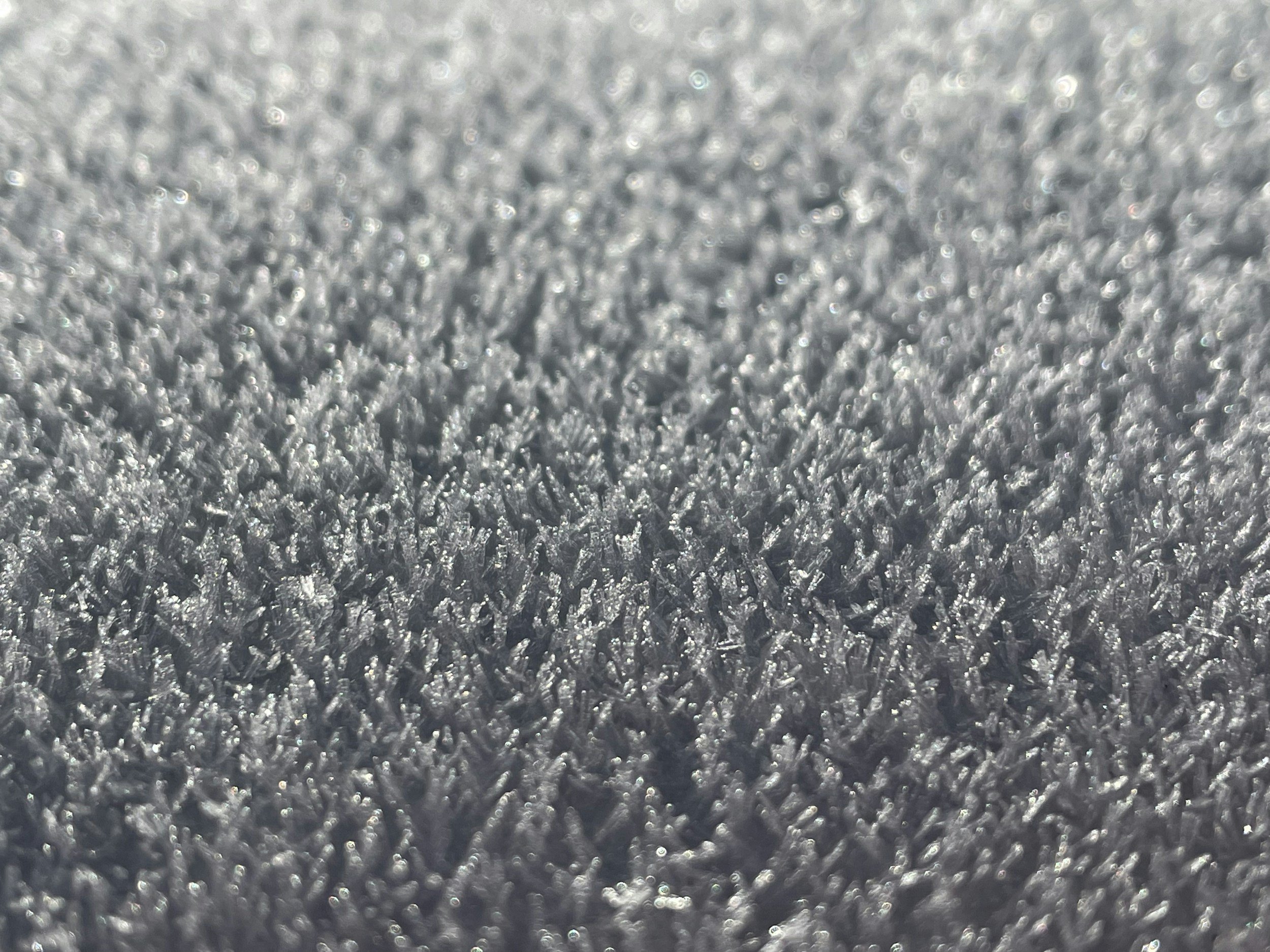 How Often Should You Deep-Clean Carpets in a Second Home or Rental?