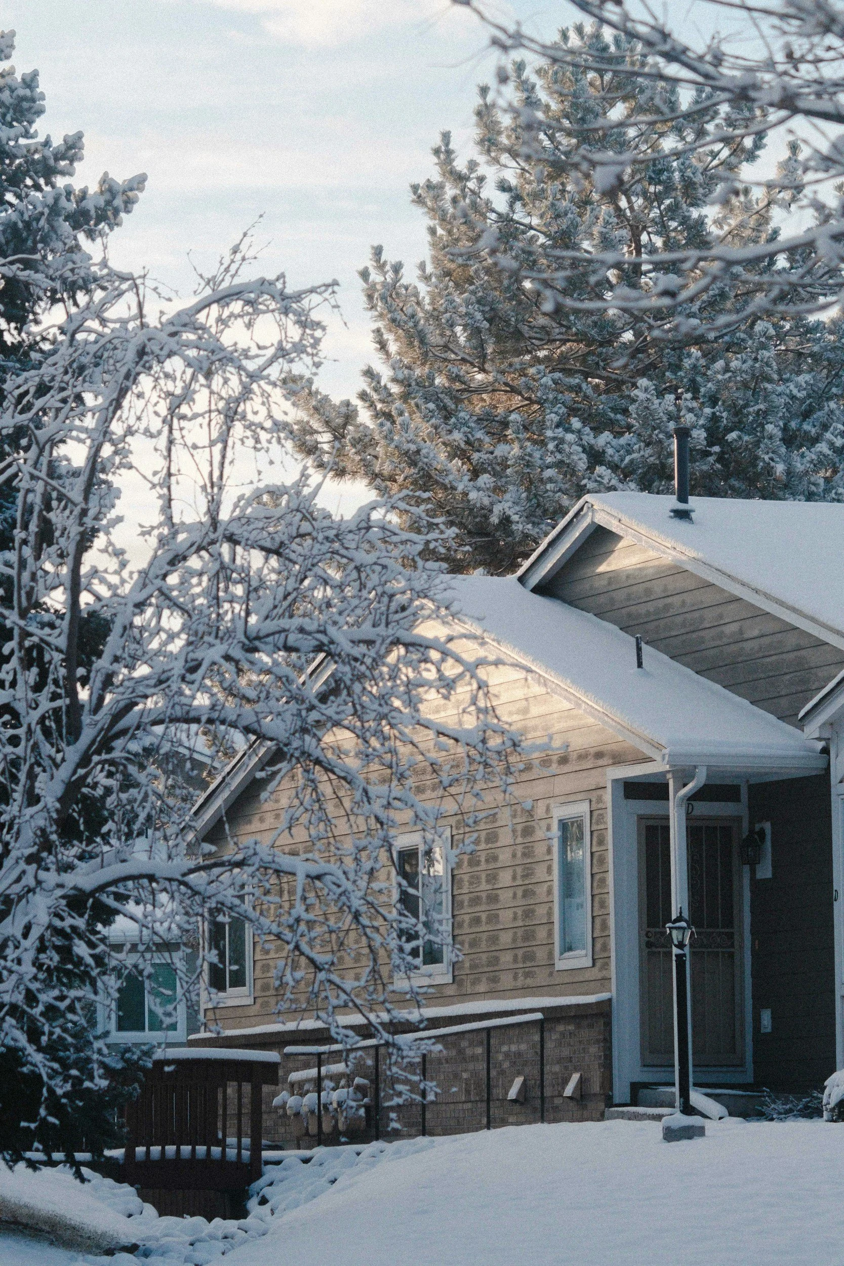 Prepping Your Mammoth Home for Winter: Carpet, Windows and the Pipe Risk Nobody Plans For