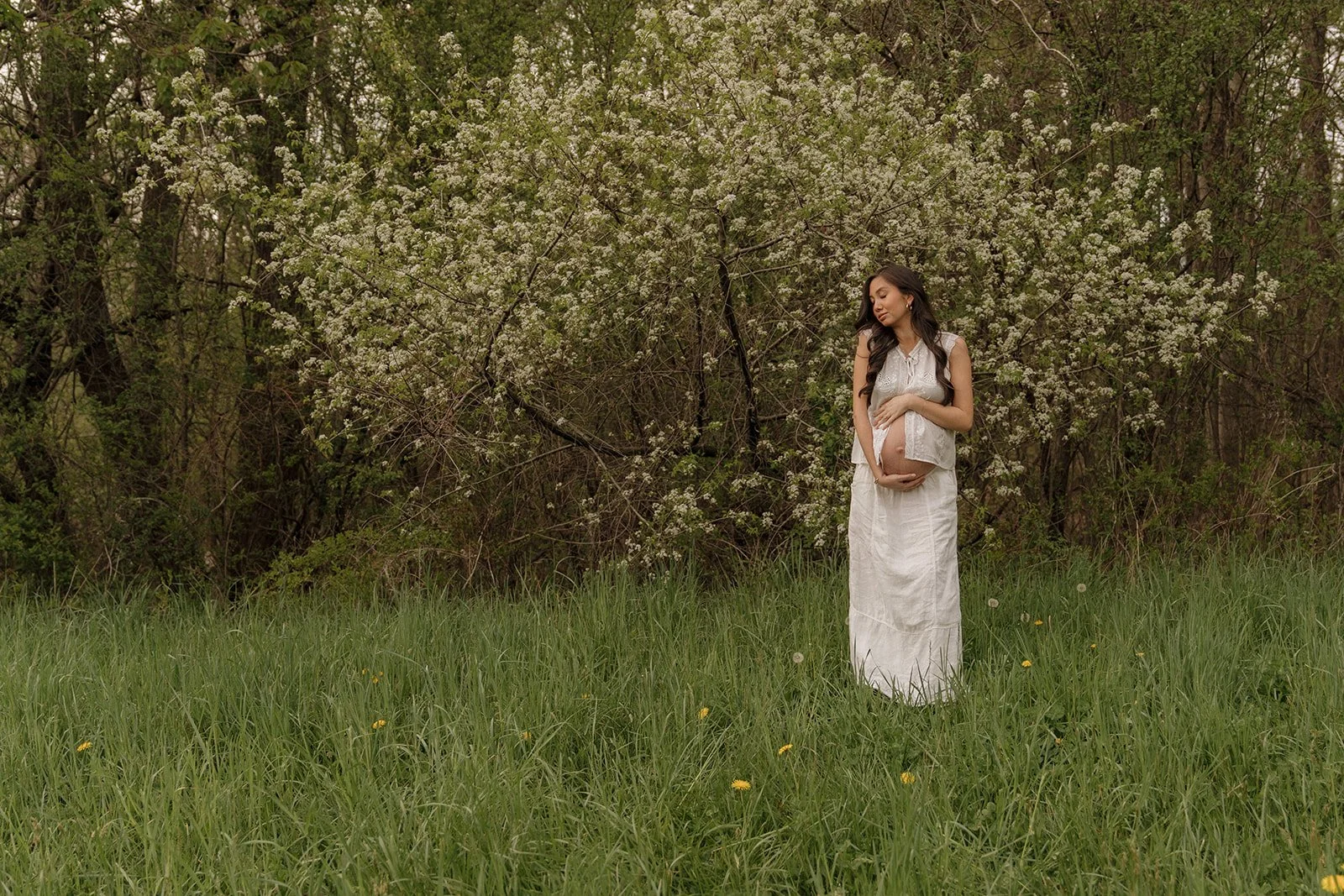 Expecting mother standing beneath a flowering tree during a maternity photography session in Sarasota, Florida.