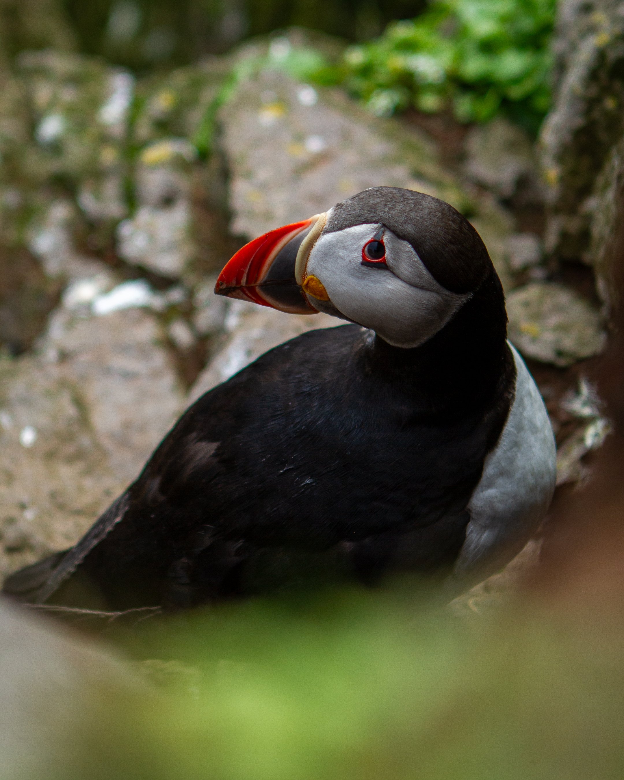 Viking Summer-19.jpg