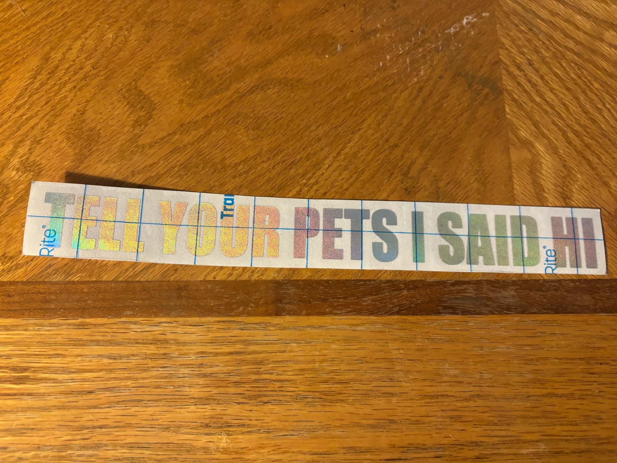 1000005255.jpg