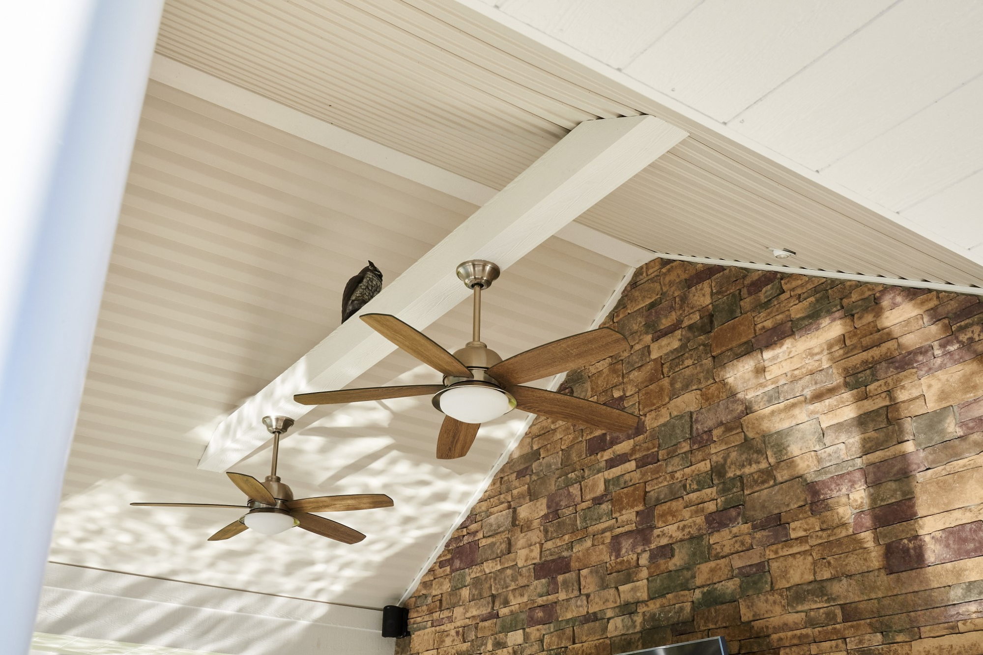 Interior view of a room with brick wall and white ceiling, featuring two ceiling fans with wooden blades and an owl perched on a white beam