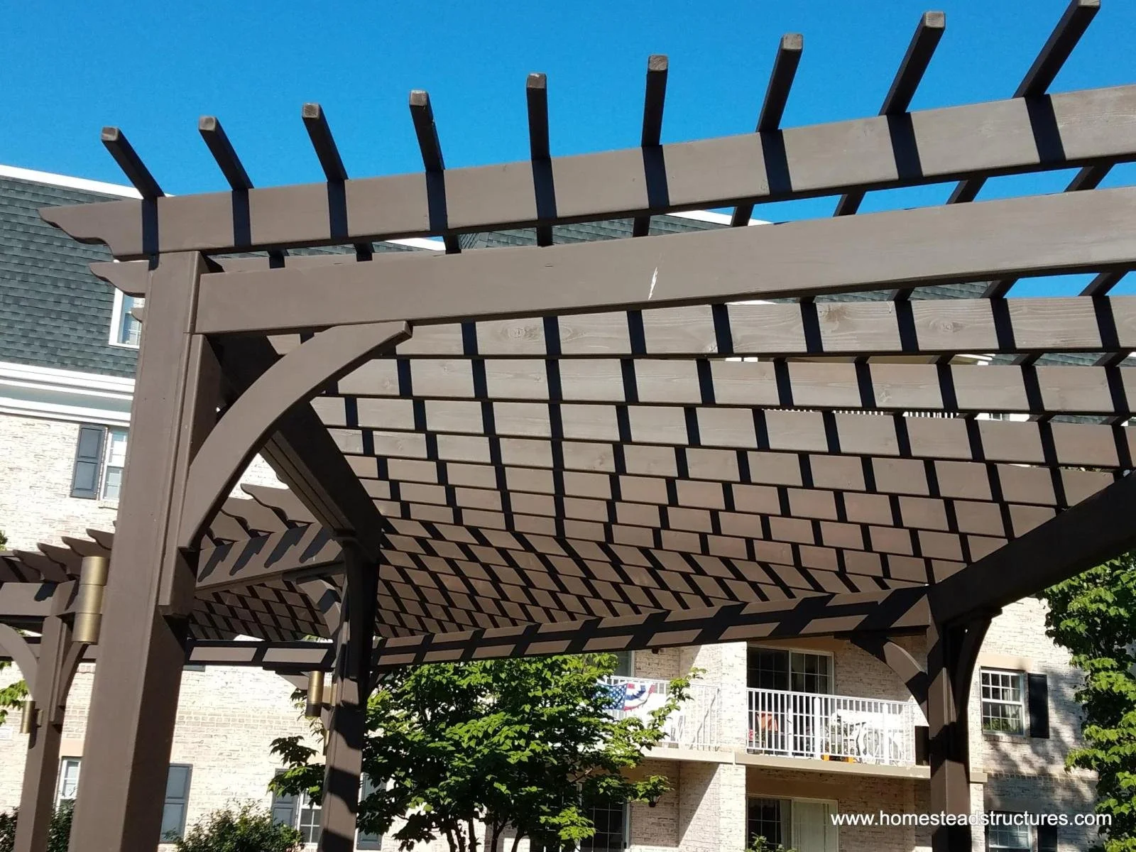 10x45 curved pergola (1).jpg