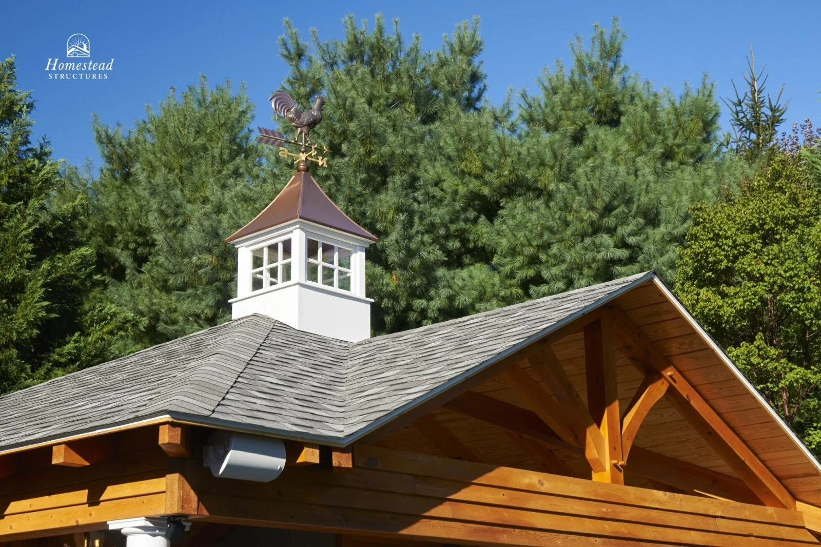 Close-up of a small white cupola with a brown pointed roof and weather vane, on top of a wooden building with a shingled roof, surrounded by green trees and a clear blue sky.