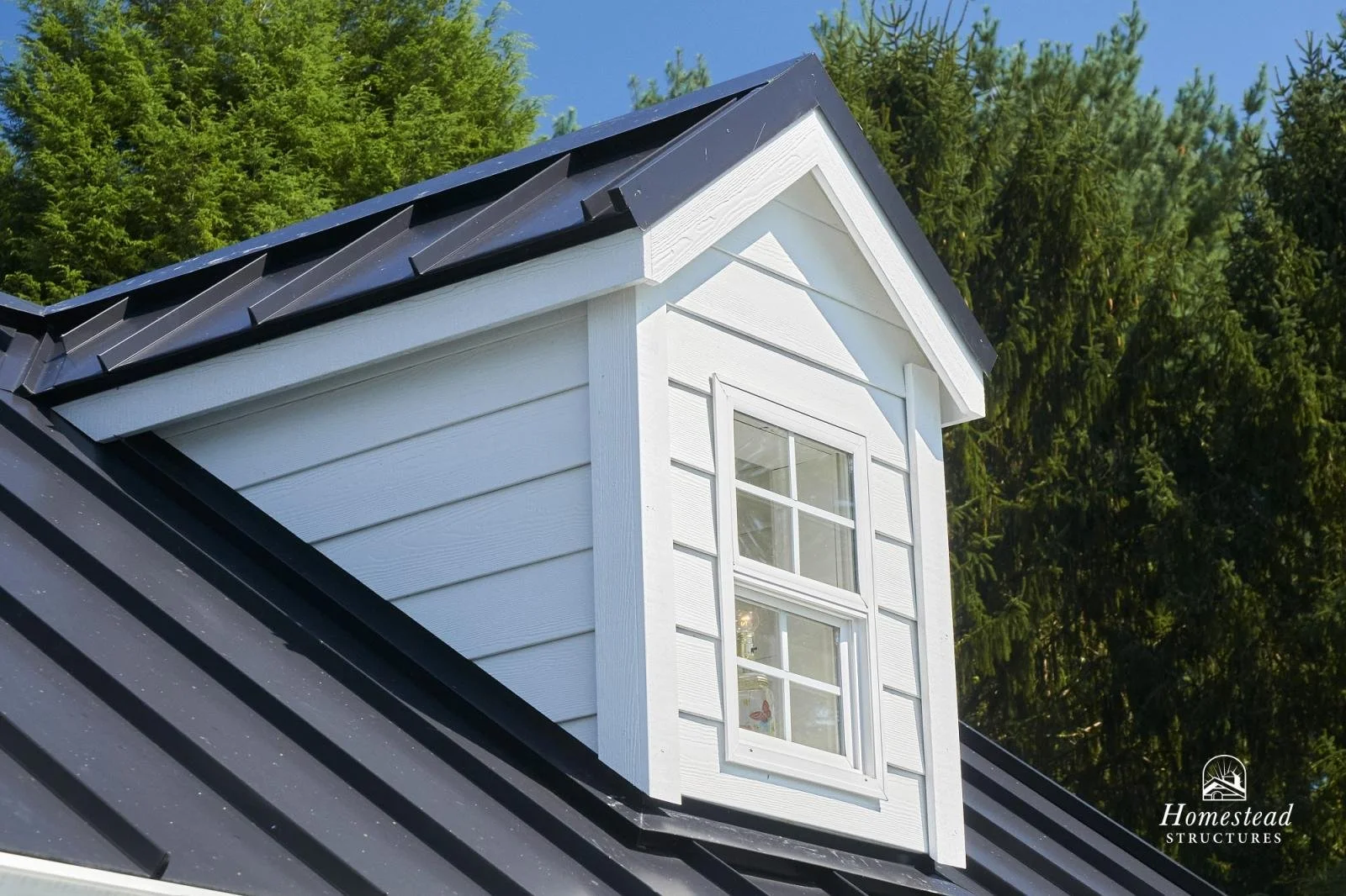 Close-up view of a white dormer window with black roofing on a house, surrounded by green trees under a blue sky.