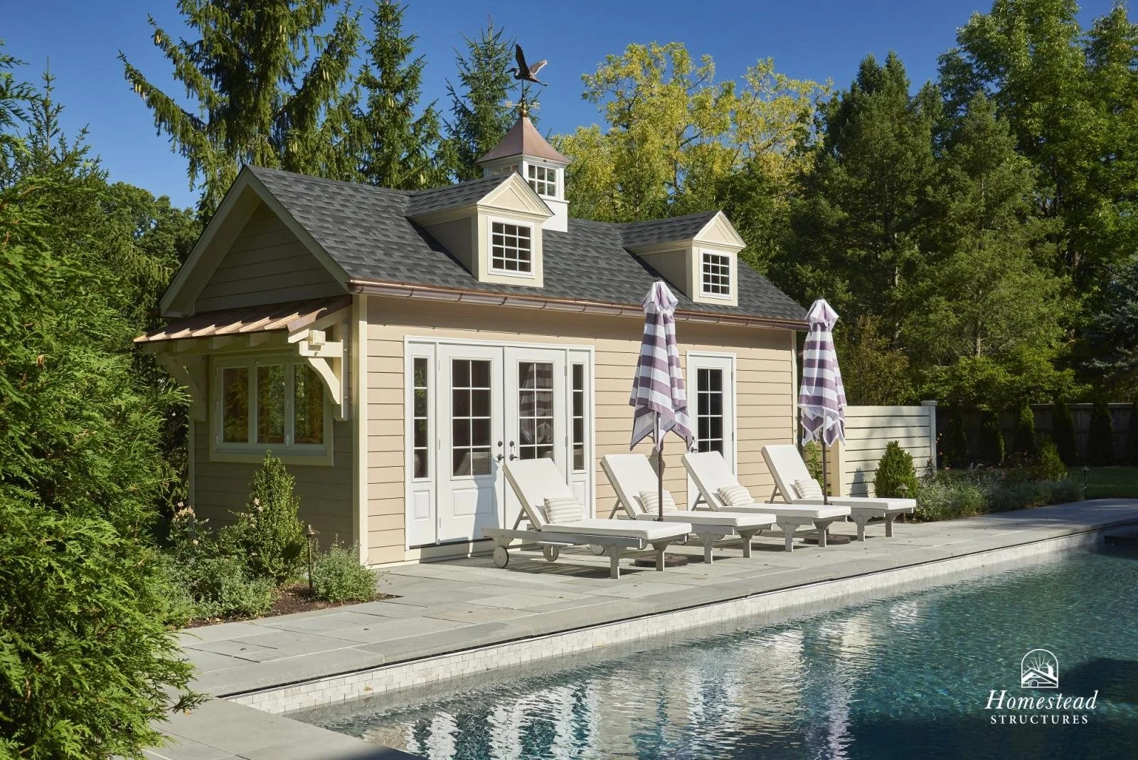Small backyard pool with four lounge chairs and two striped umbrellas in front of a beige pool house with a gabled roof and dormer windows, surrounded by green trees and bushes.