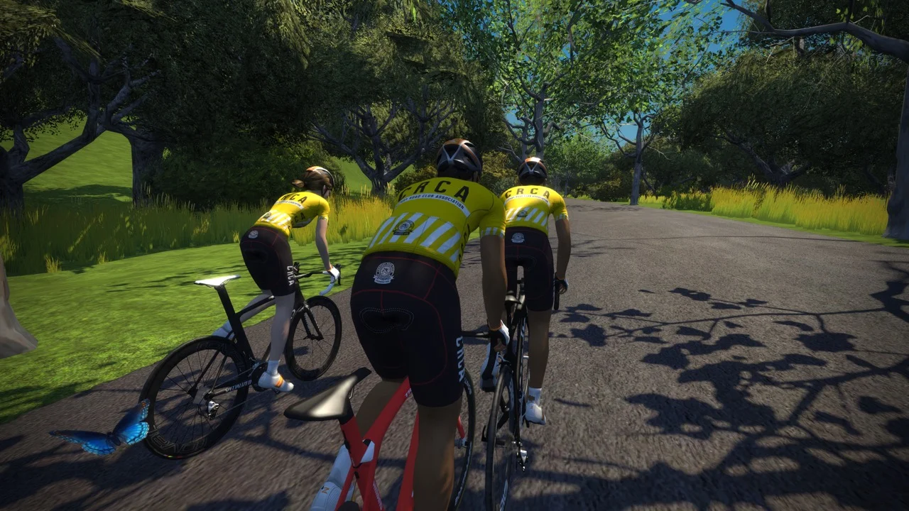 Cyclists in yellow jerseys riding bikes on a tree-lined road in a simulation game.
