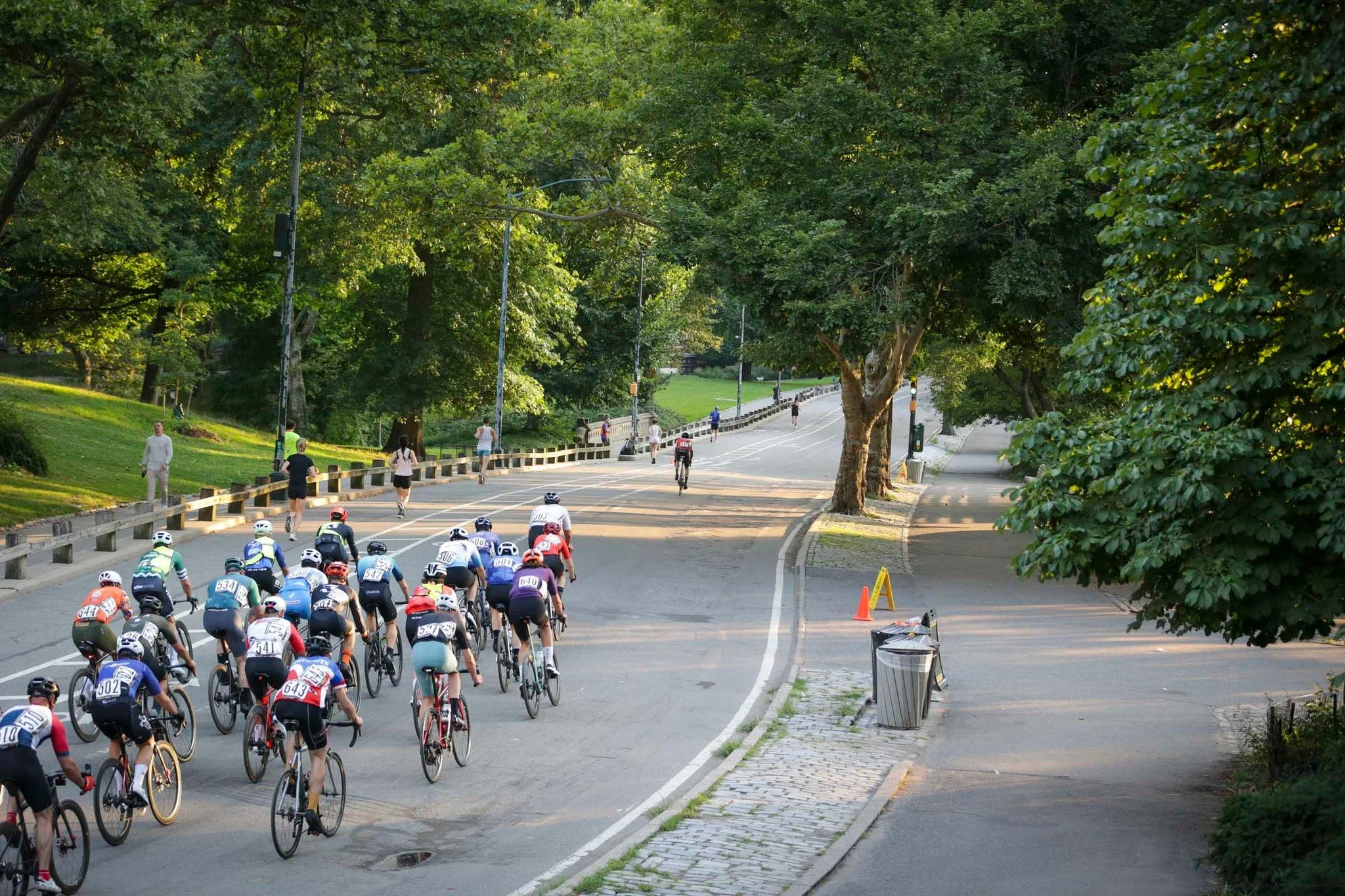 Cyclists in a race on a tree-lined road with onlookers, surrounded by greenery.