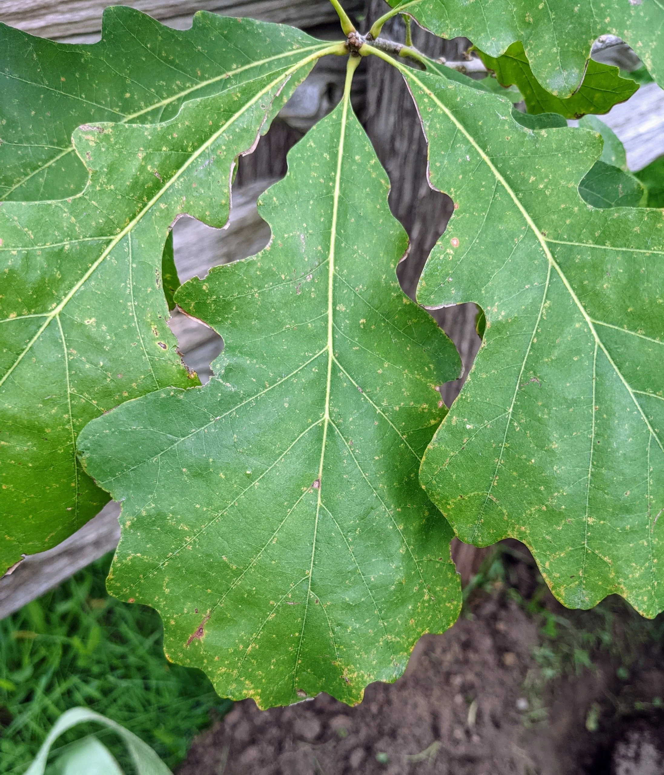PXL_20210923_172508698-scaled.jpg