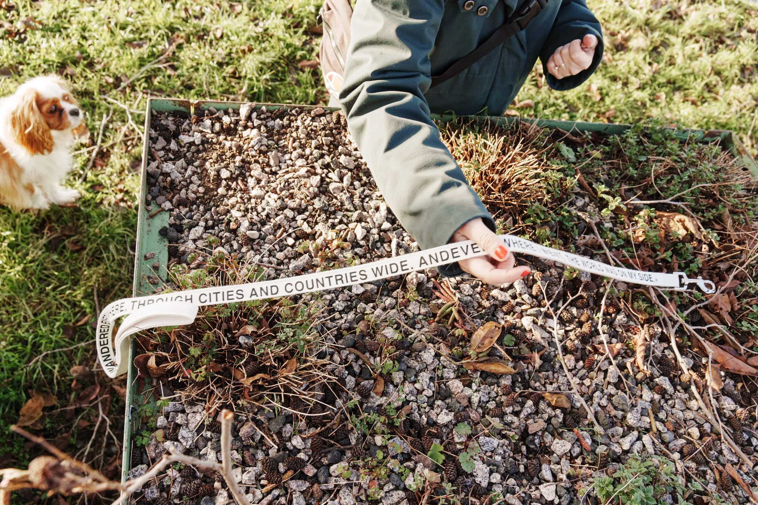 2025-01-01 Woof Letter Test Shoot Hafen-07240 3840q75.jpg