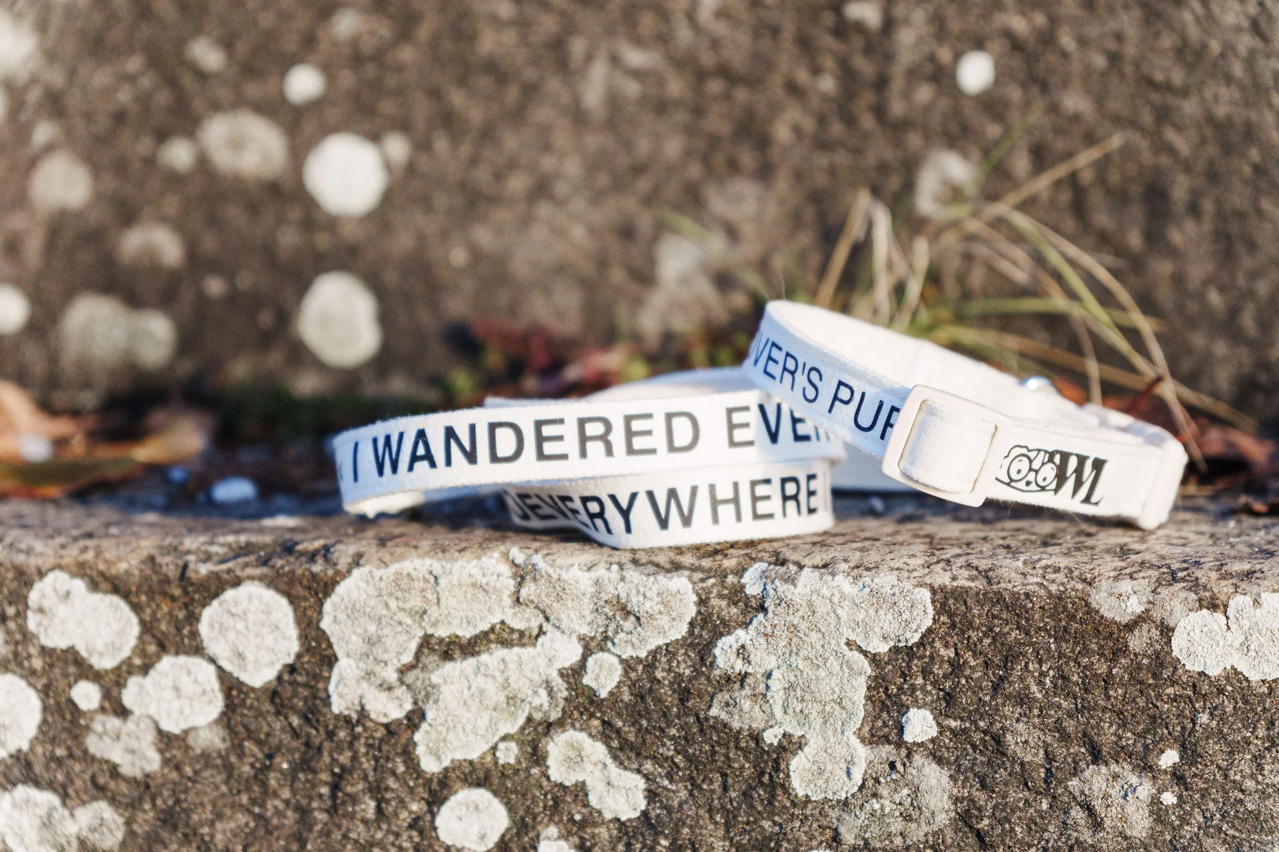 2025-01-01 Woof Letter Test Shoot Hafen-07397 3840q75.jpg