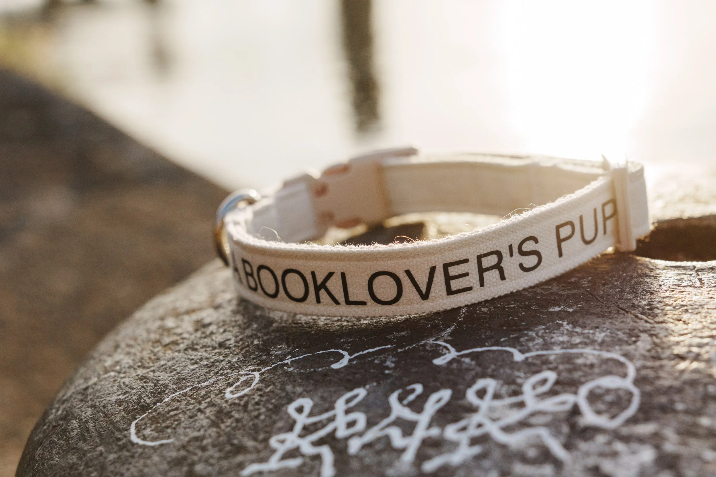 2025-01-01 Woof Letter Test Shoot Hafen-07375 3840q75.jpg