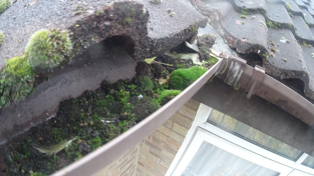 blocked gutter downpipe inspection overflowing leaf unblock