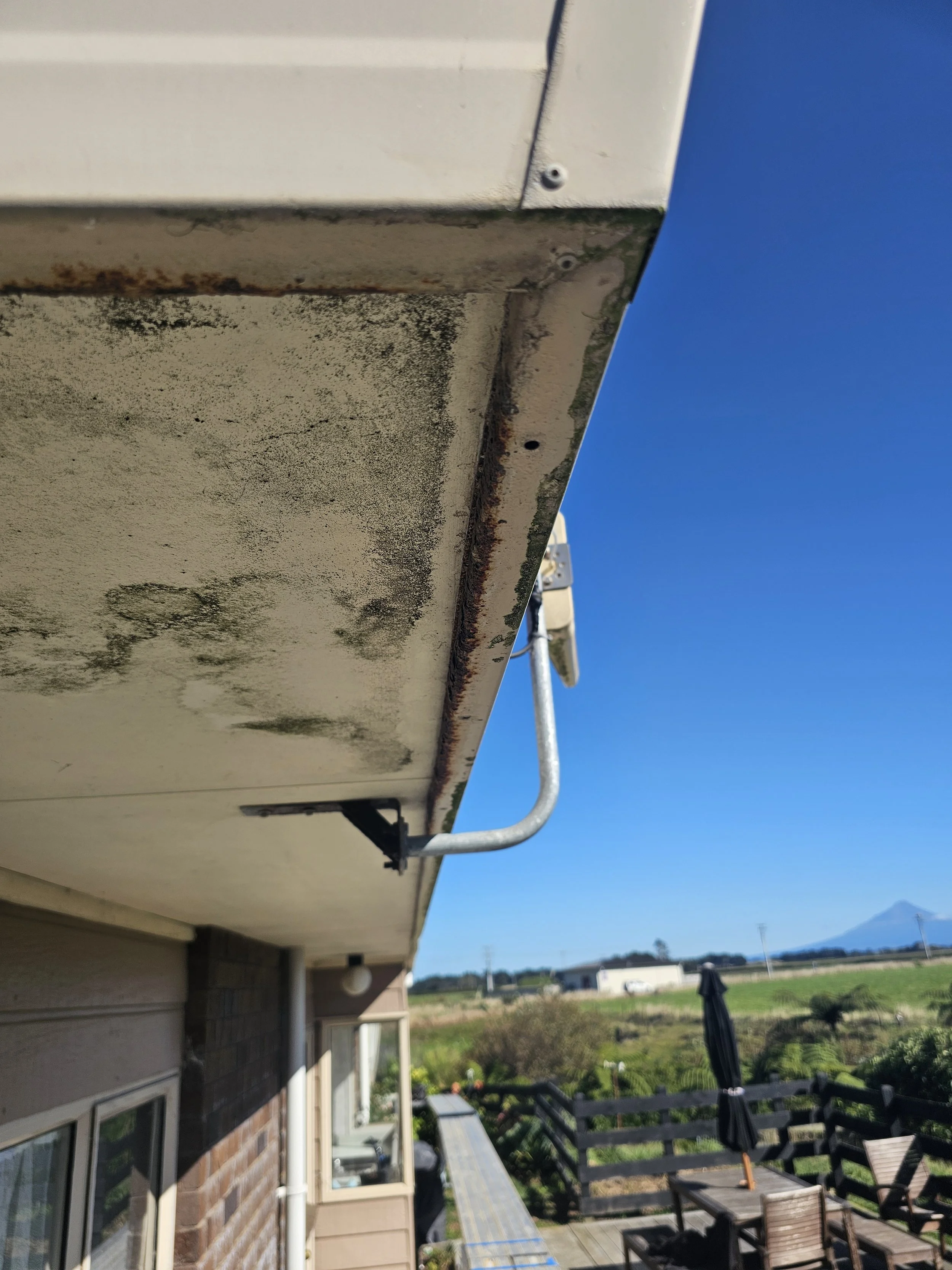 Mould soffit spot