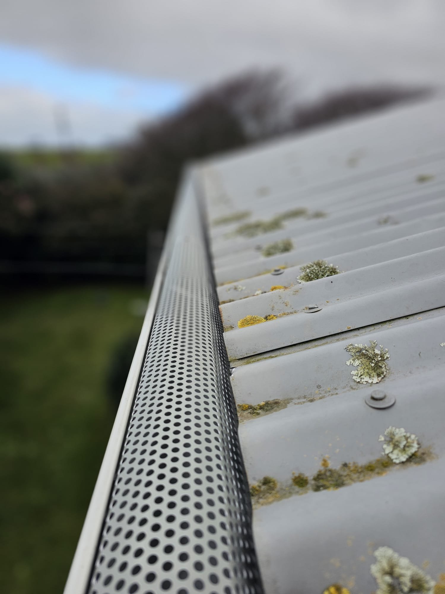 Gutter guard install leaf blocked clean maintenance taranaki new plymouth