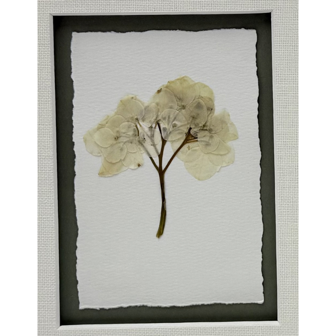 flower (2).png