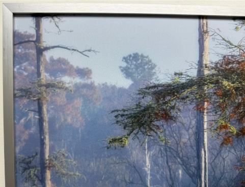 Screenshot 2026-02-11 124707.png