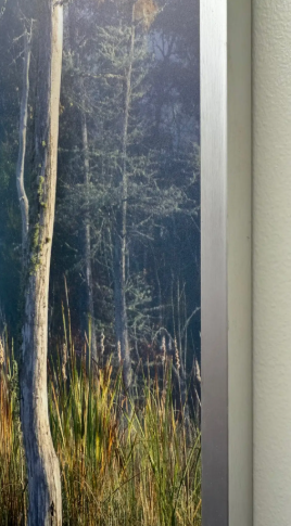 Screenshot 2026-02-11 124653.png