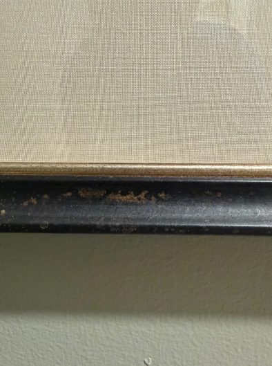 Screenshot 2026-02-05 133700.png