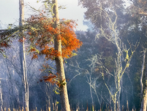 Screenshot 2026-02-11 124638.png