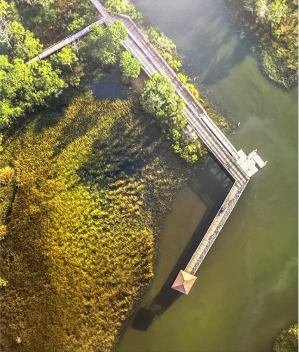 Screenshot 2026-02-11 123448.png