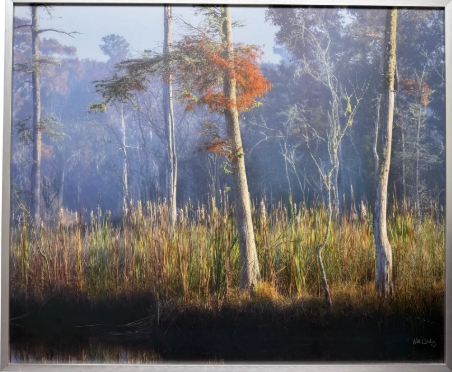 Screenshot 2026-02-11 124628.png