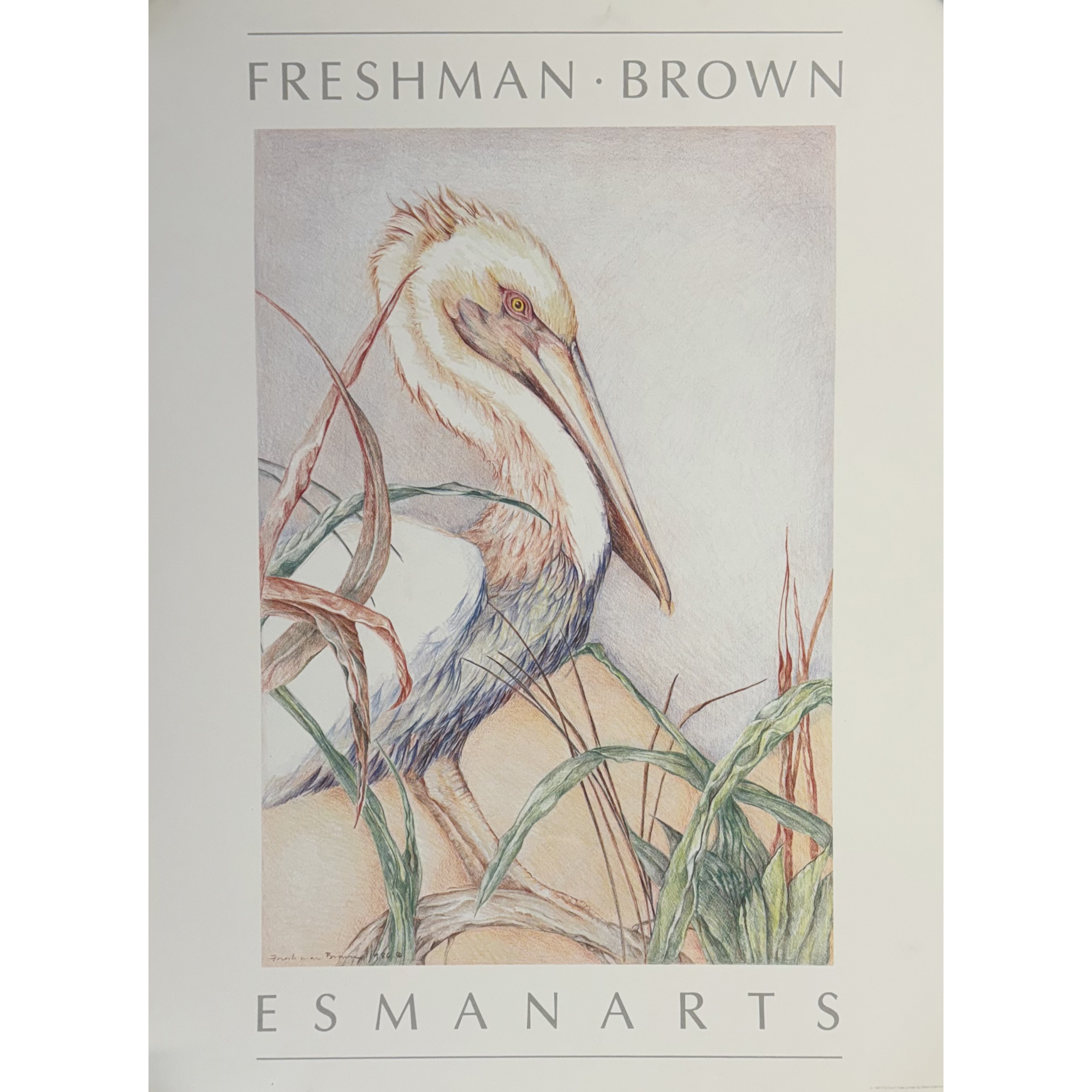 Pelican - Louise Freshman Brown (Offset Lithograph)