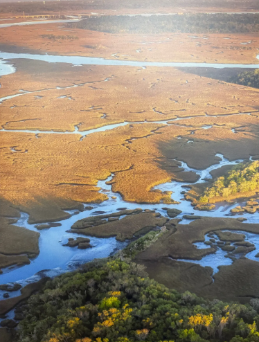 Screenshot 2026-02-11 131234.png