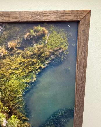 Screenshot 2026-02-11 123543.png