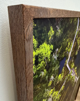 Screenshot 2026-02-11 123512.png