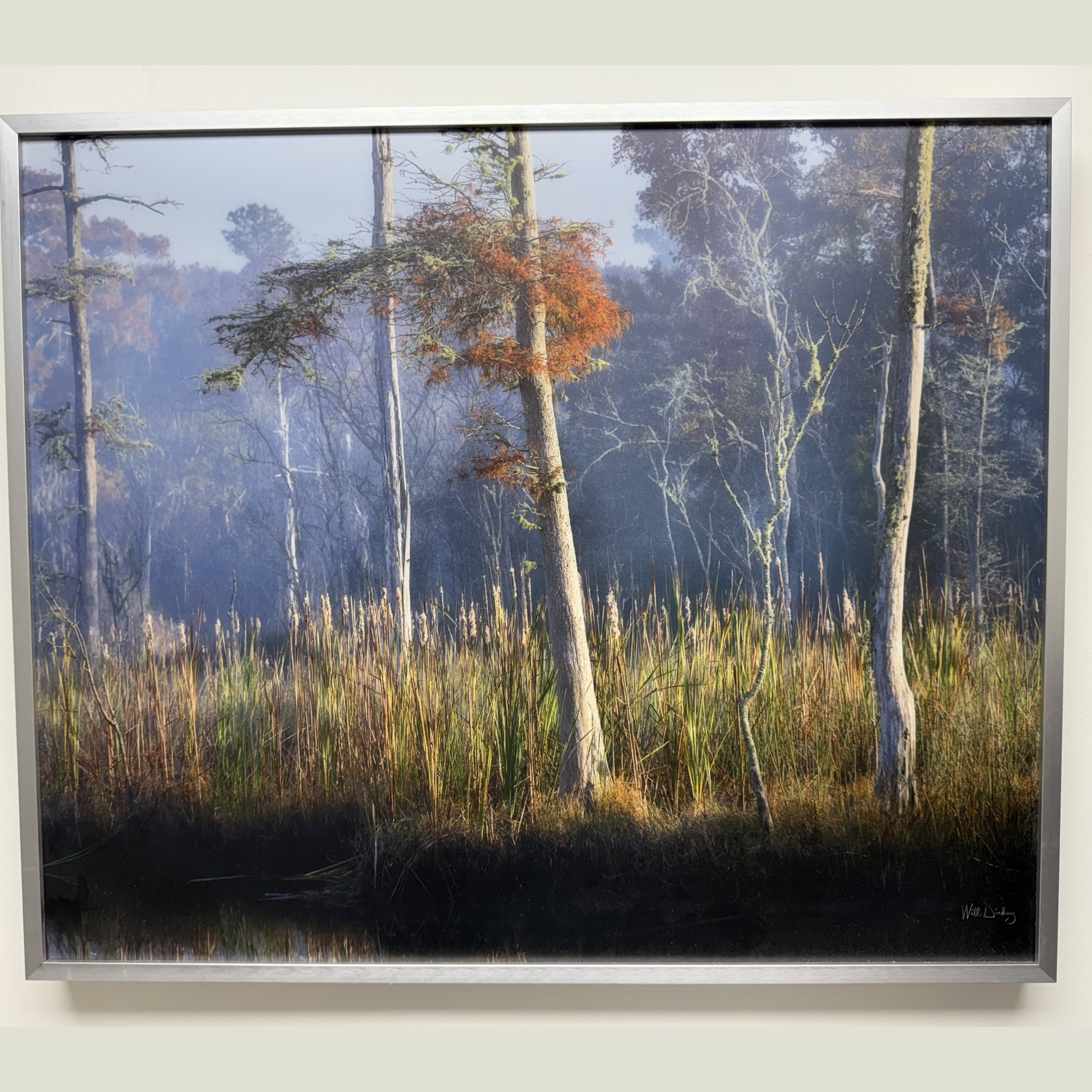 Misty Coastal Wetland - Will Dickey (Photograph on ACM)